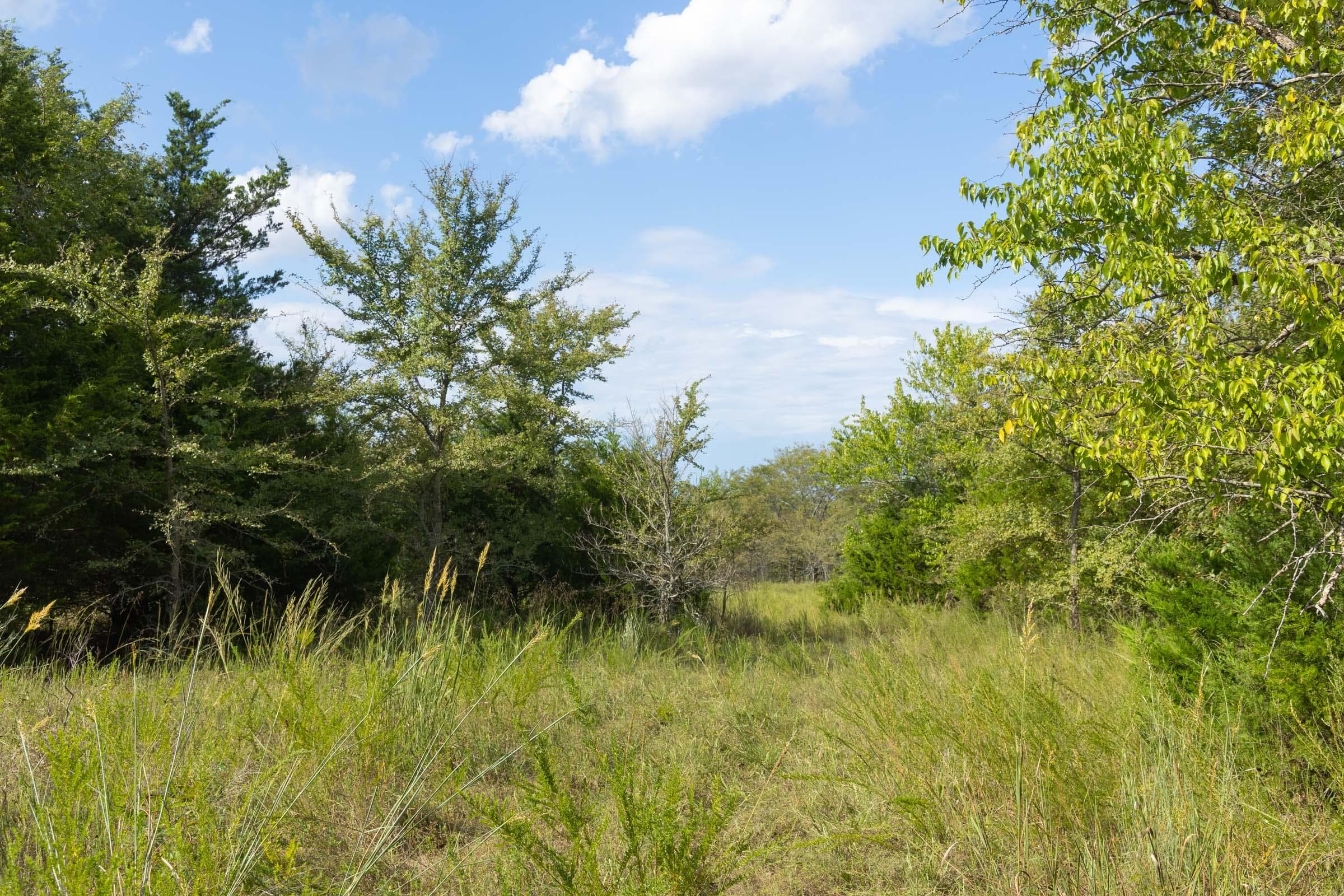  Reserves At Cattail Cove Phase II — Zero Credit Land owner financed land for sale in Pittsburg County, Oklahoma photo 126