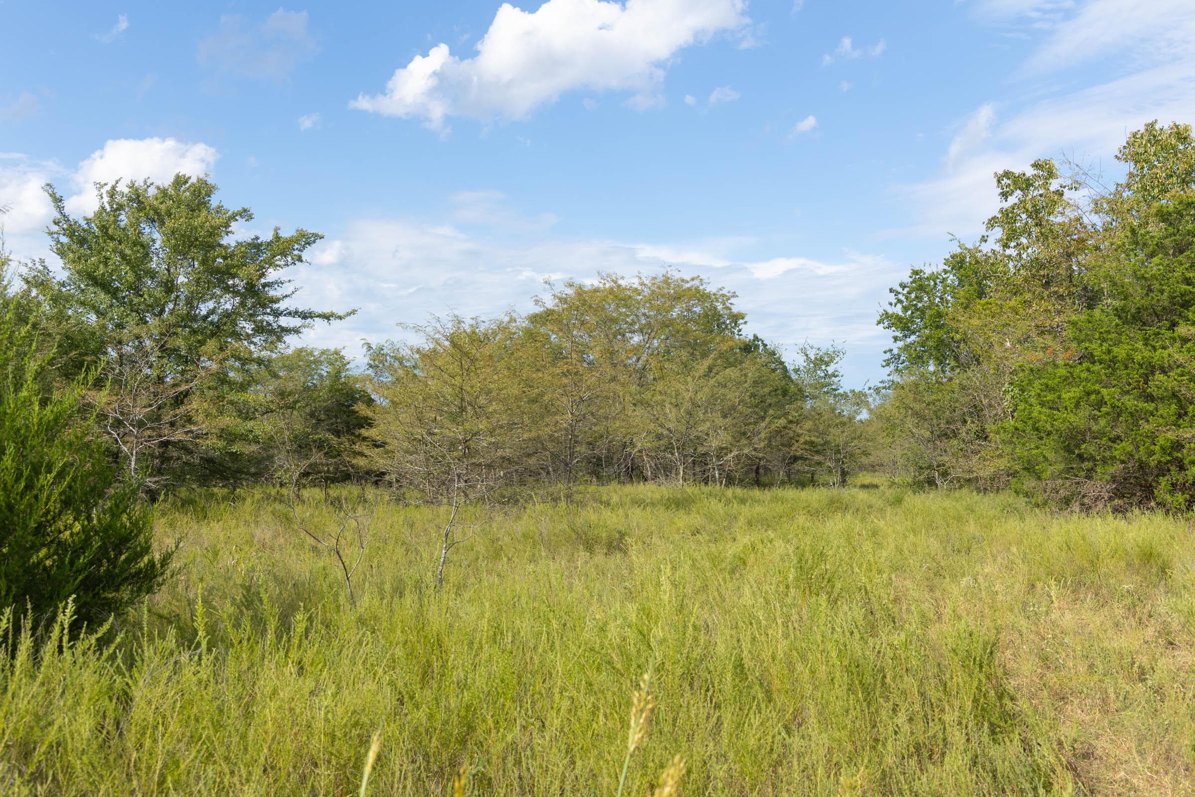  Reserves At Cattail Cove Phase II — Zero Credit Land owner financed land for sale in Pittsburg County, Oklahoma photo 124
