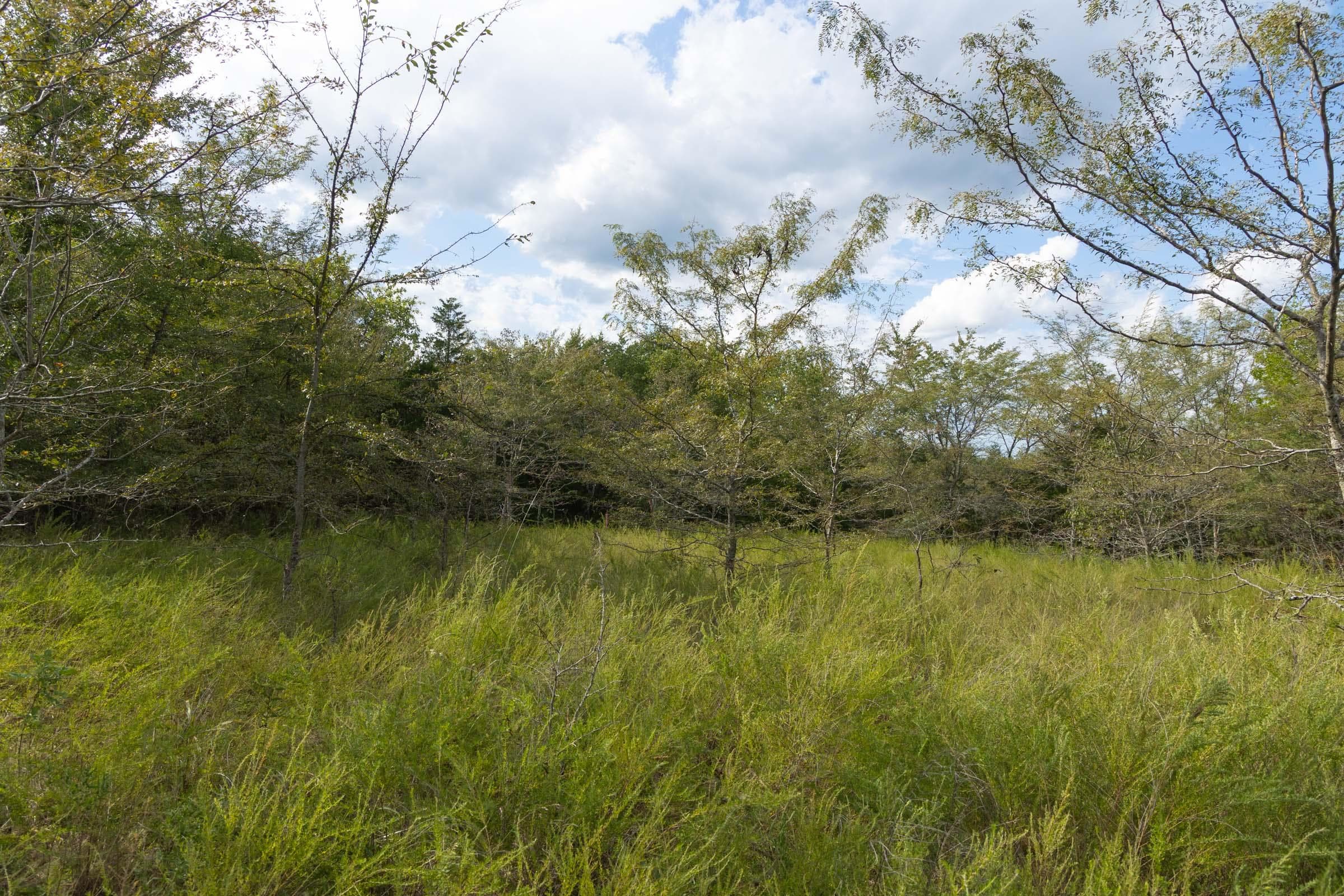  Reserves At Cattail Cove Phase II — Zero Credit Land owner financed land for sale in Pittsburg County, Oklahoma photo 123