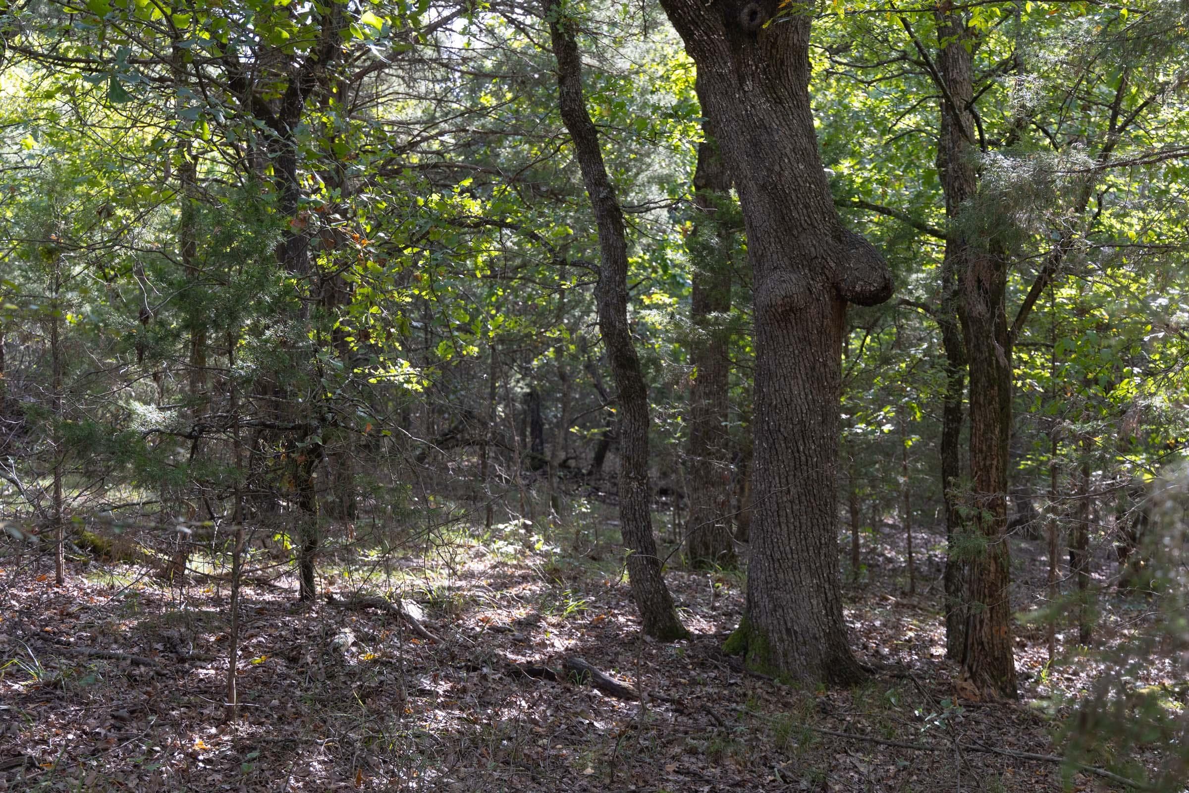  Reserves At Cattail Cove Phase II — Zero Credit Land owner financed land for sale in Pittsburg County, Oklahoma photo 91