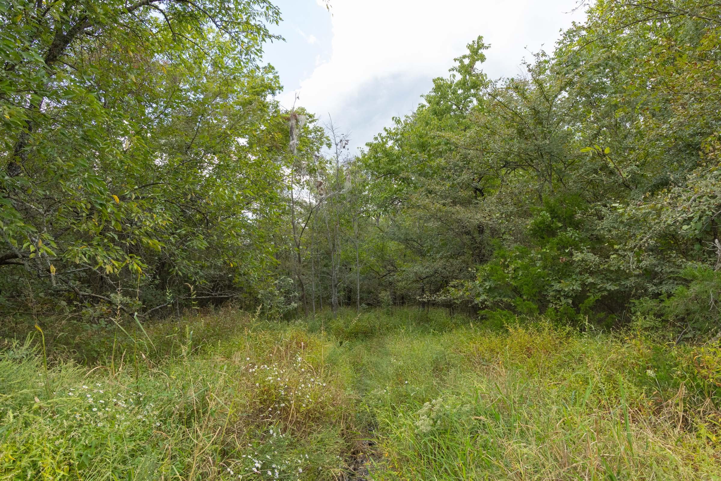  Reserves At Cattail Cove Phase II — Zero Credit Land owner financed land for sale in Pittsburg County, Oklahoma photo 119