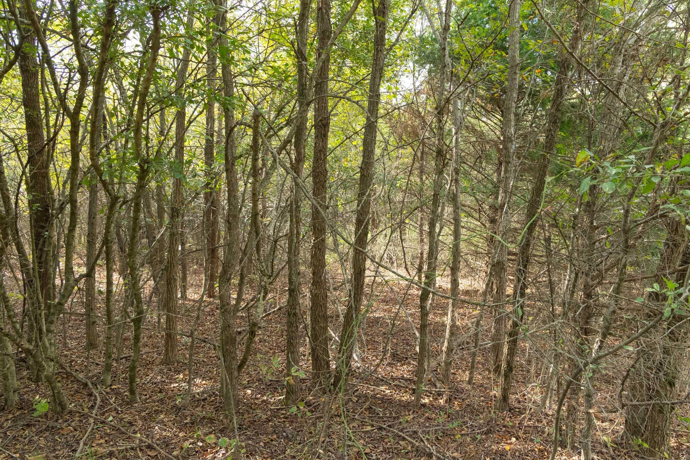 Reserves At Cattail Cove Phase II — Zero Credit Land owner financed land for sale in Pittsburg County, Oklahoma photo 121