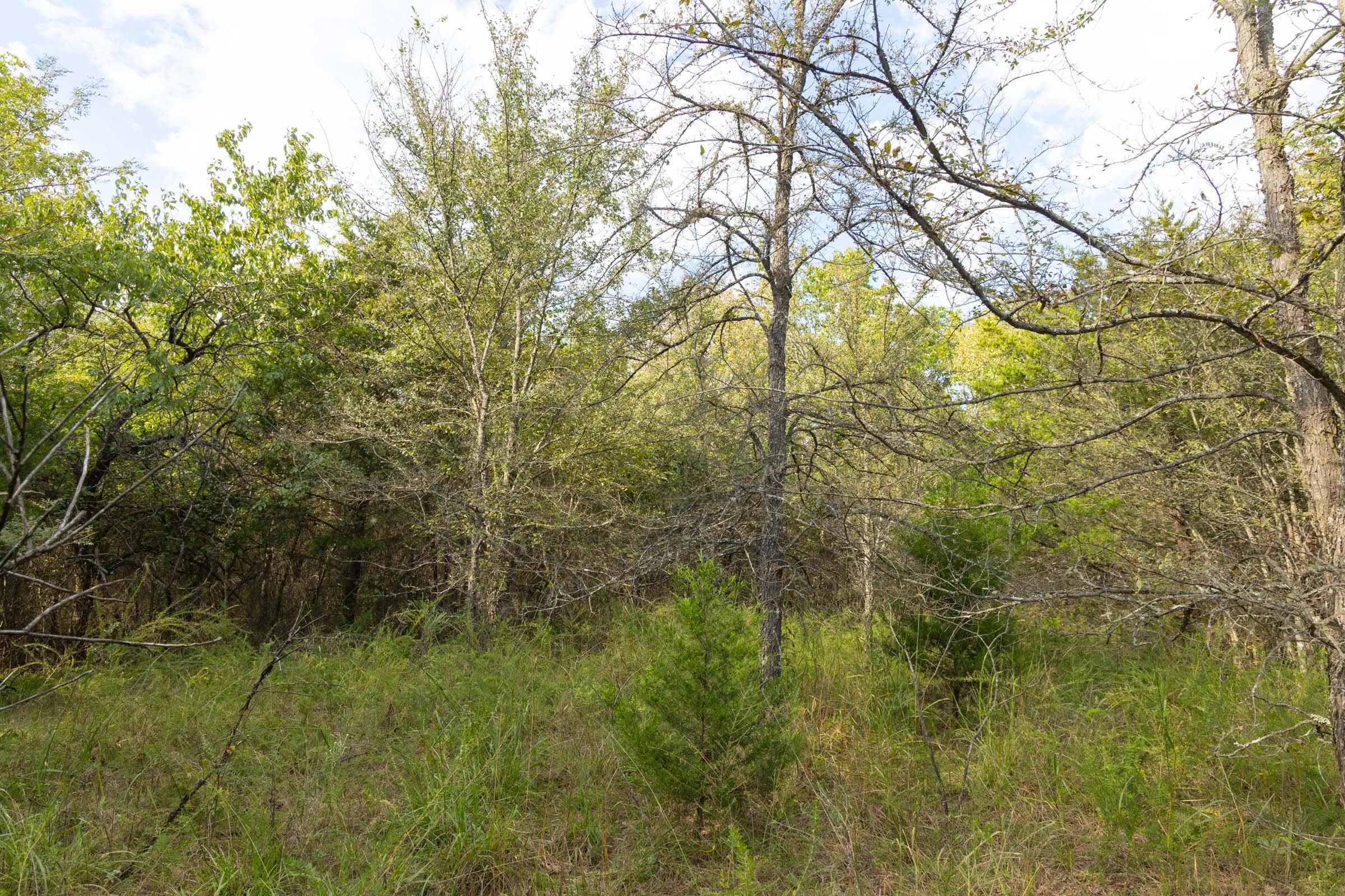  Reserves At Cattail Cove Phase II — Zero Credit Land owner financed land for sale in Pittsburg County, Oklahoma photo 122