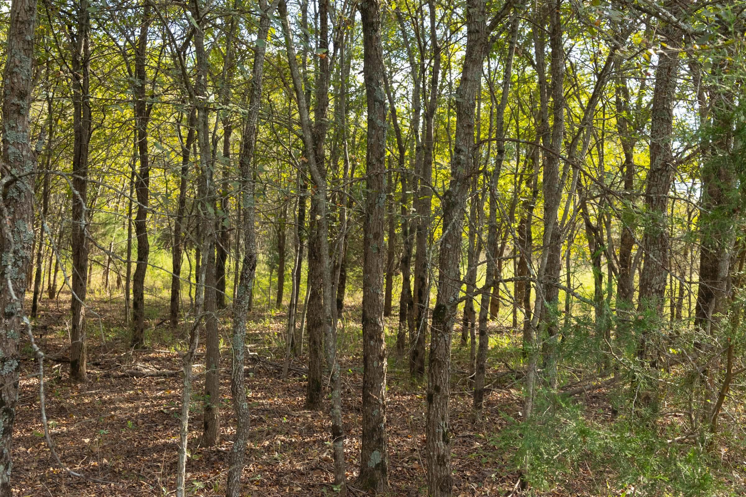  Reserves At Cattail Cove Phase II — Zero Credit Land owner financed land for sale in Pittsburg County, Oklahoma photo 118