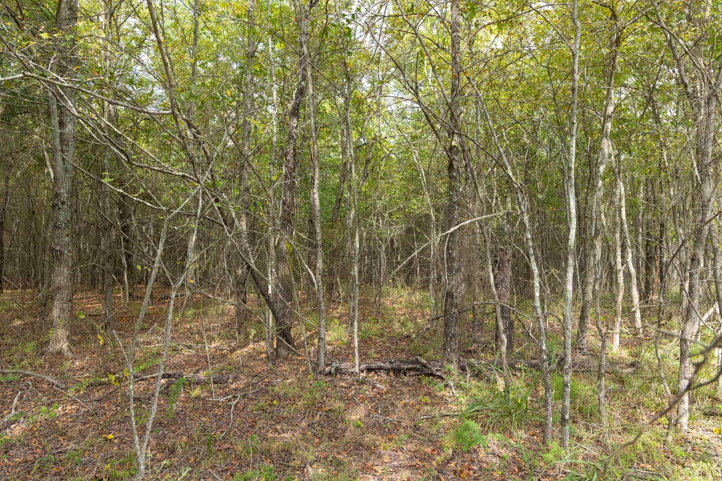  Reserves At Cattail Cove Phase II — Zero Credit Land owner financed land for sale in Pittsburg County, Oklahoma photo 160