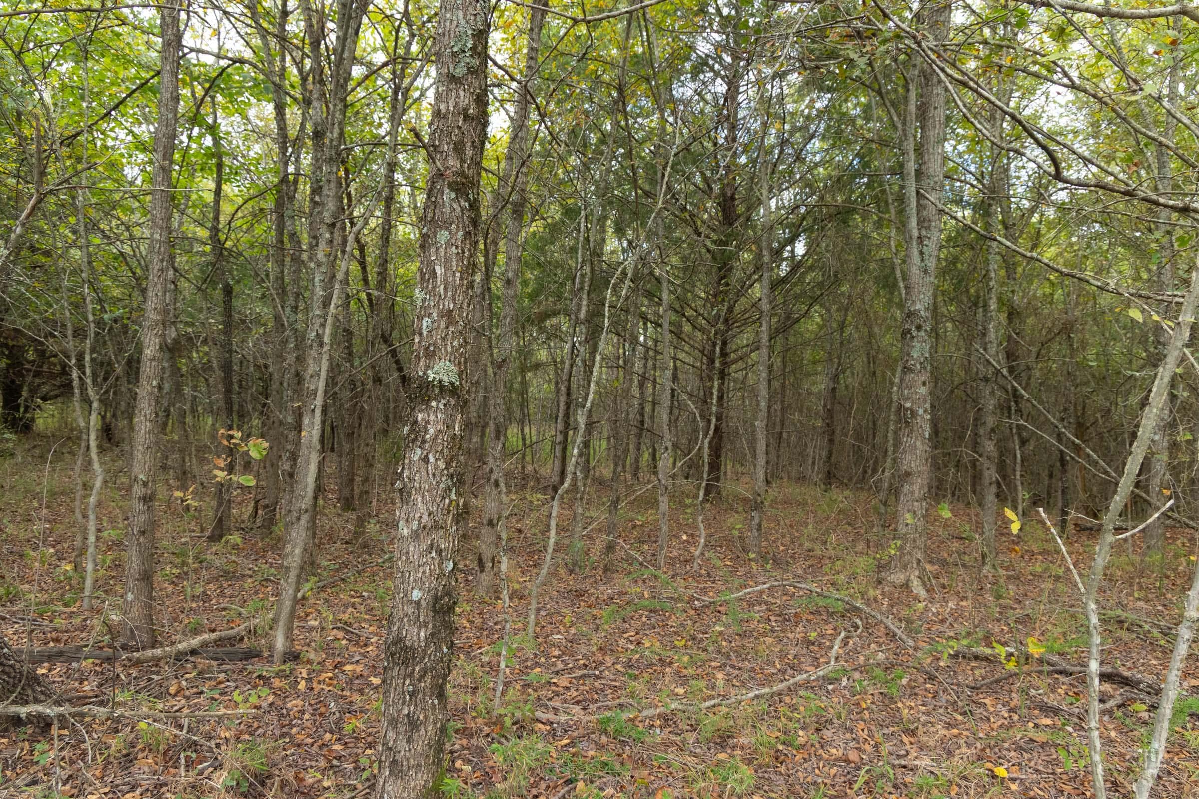  Reserves At Cattail Cove Phase II — Zero Credit Land owner financed land for sale in Pittsburg County, Oklahoma photo 158