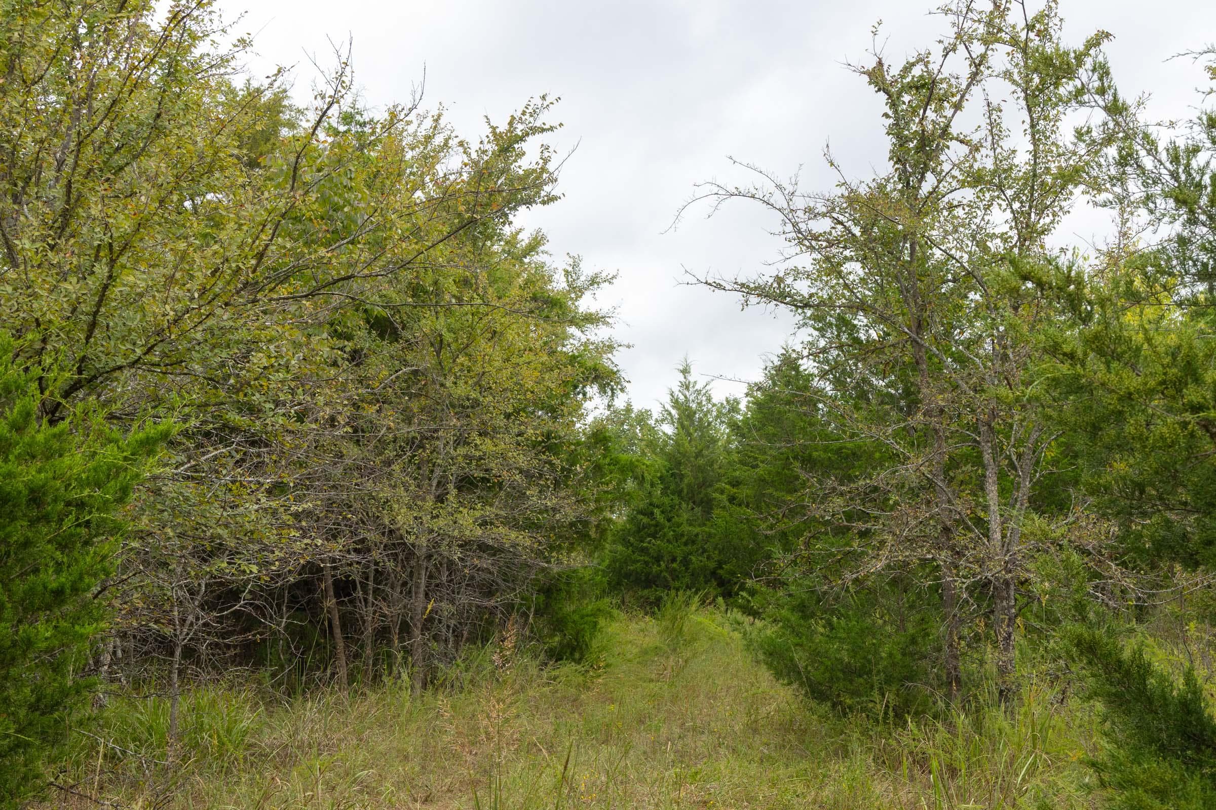  Reserves At Cattail Cove Phase II — Zero Credit Land owner financed land for sale in Pittsburg County, Oklahoma photo 161