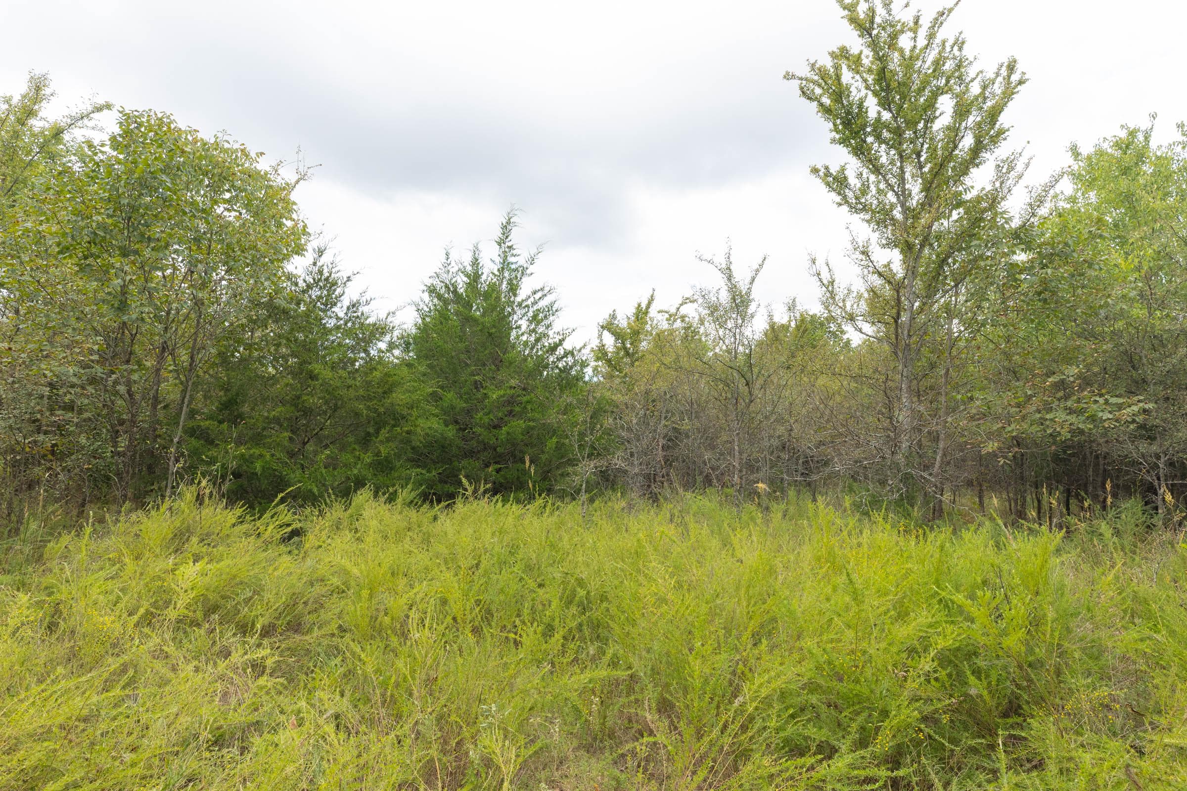  Reserves At Cattail Cove Phase II — Zero Credit Land owner financed land for sale in Pittsburg County, Oklahoma photo 137