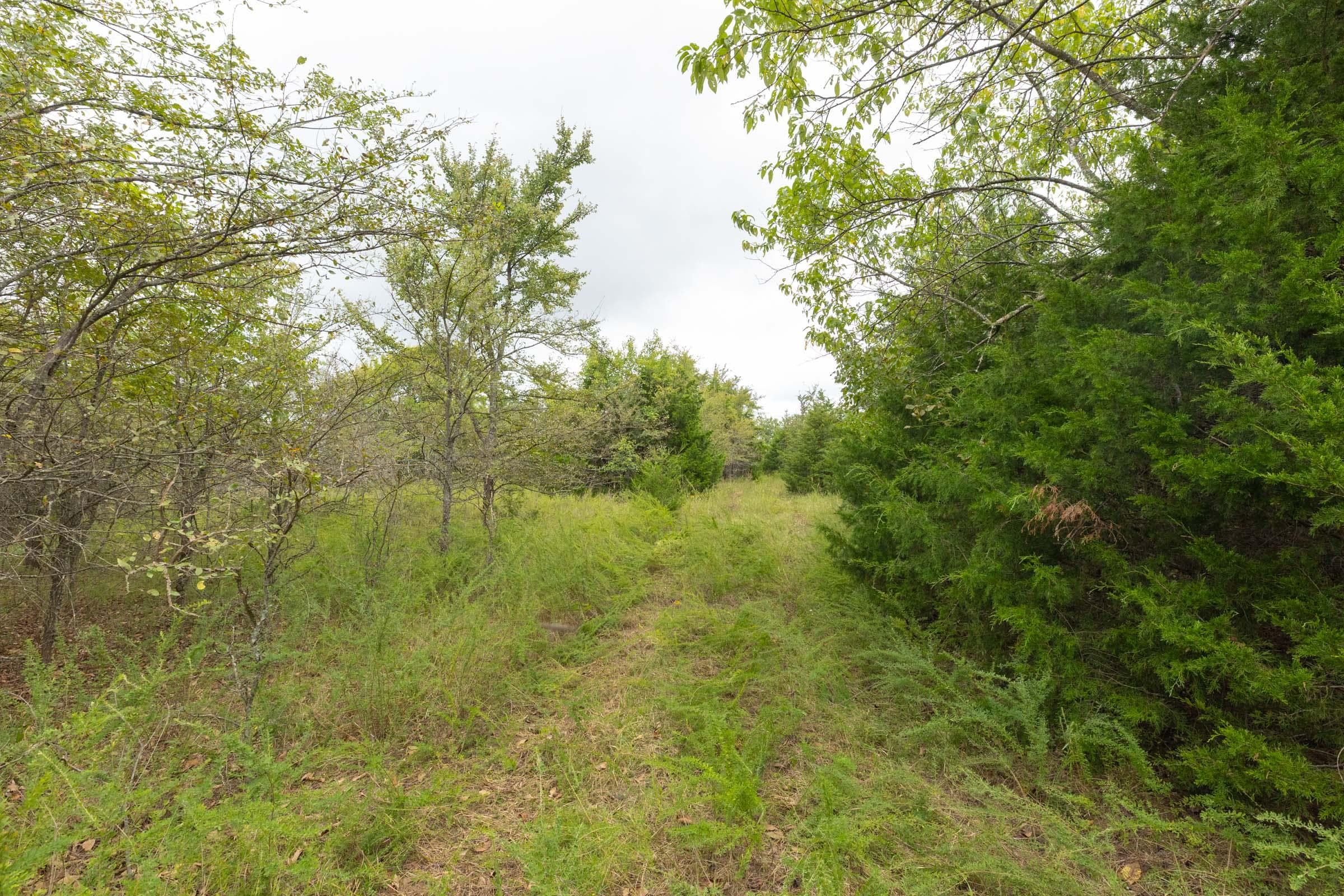  Reserves At Cattail Cove Phase II — Zero Credit Land owner financed land for sale in Pittsburg County, Oklahoma photo 139