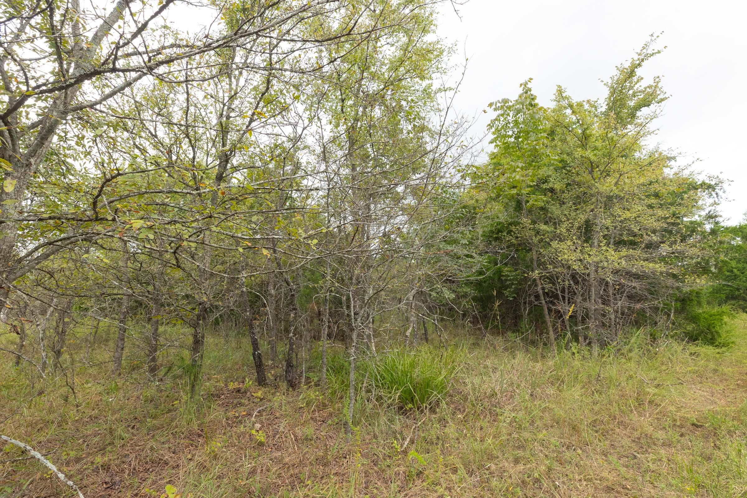  Reserves At Cattail Cove Phase II — Zero Credit Land owner financed land for sale in Pittsburg County, Oklahoma photo 138