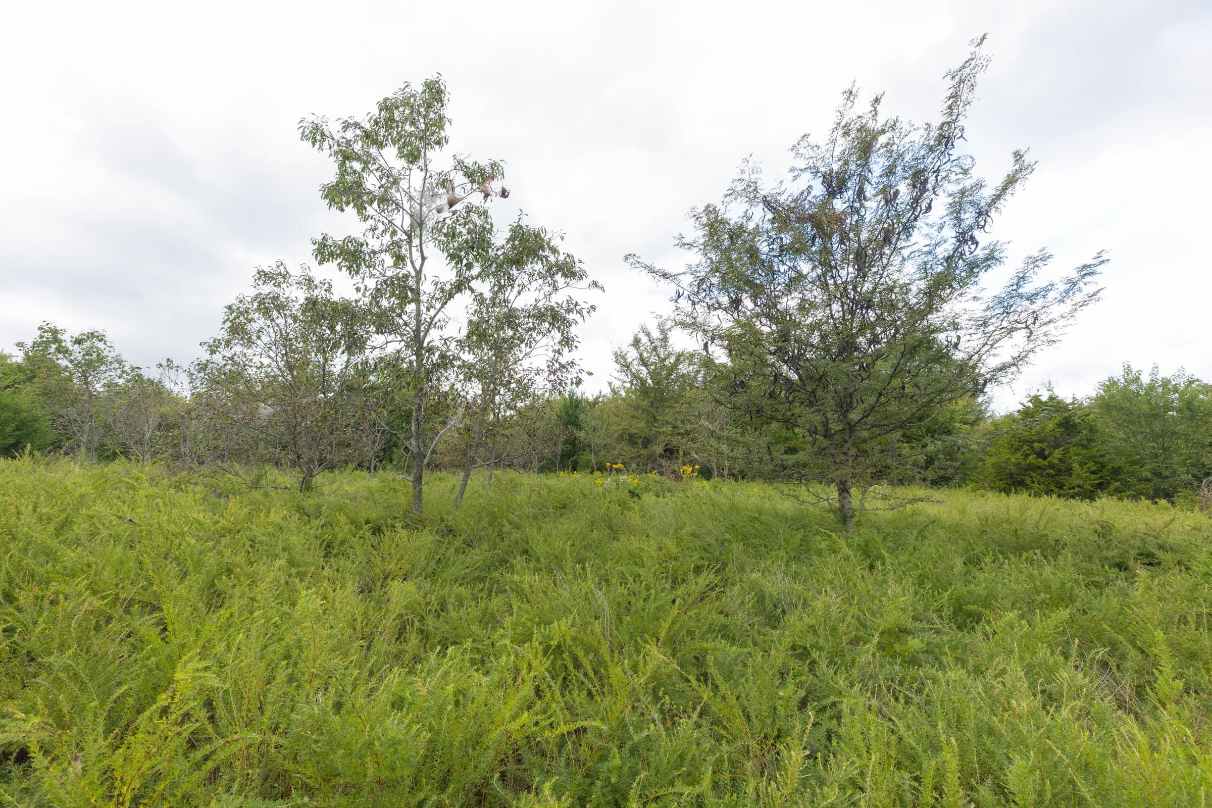 Reserves At Cattail Cove Phase II — Zero Credit Land owner financed land for sale in Pittsburg County, Oklahoma photo 167