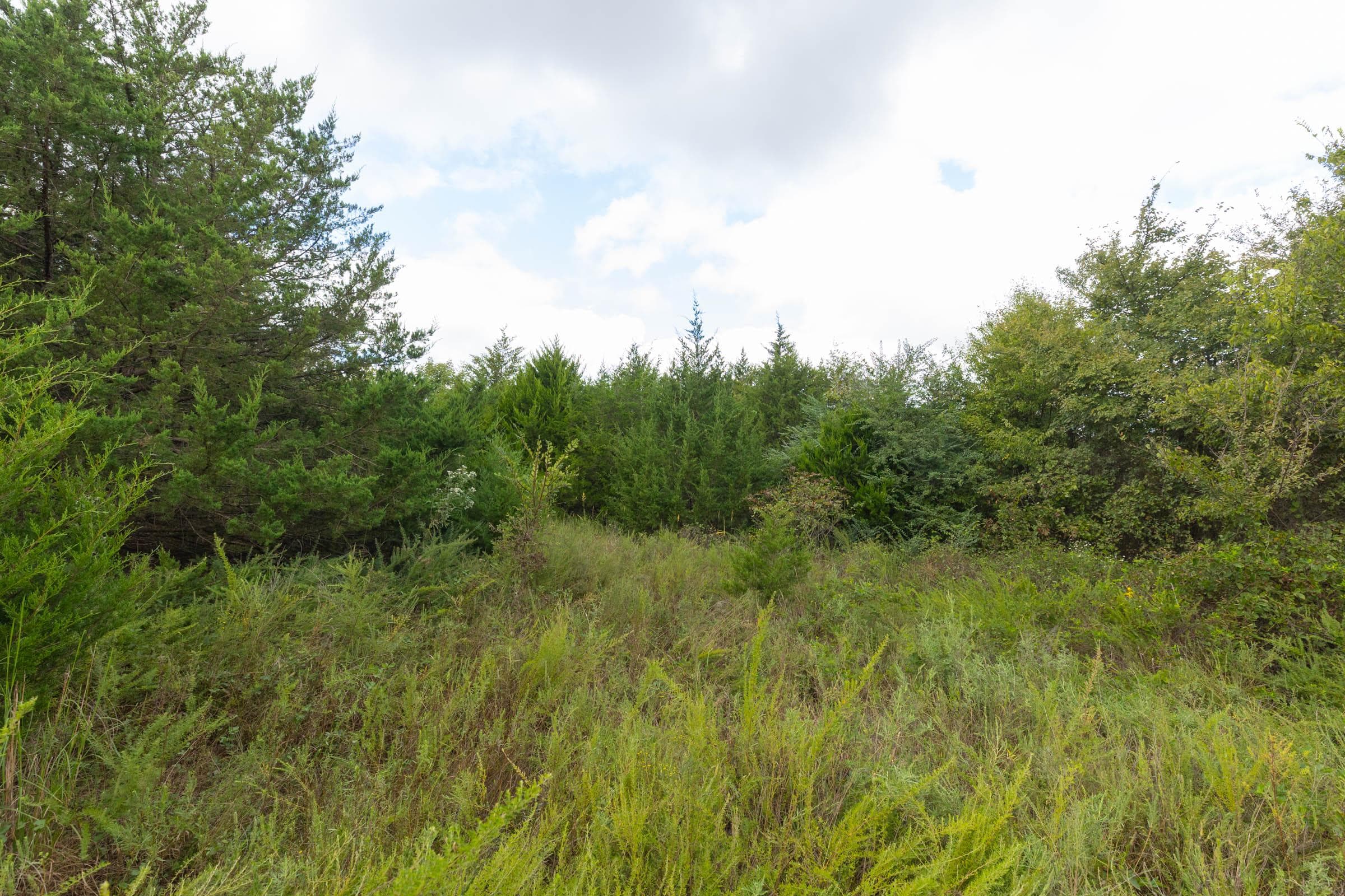  Reserves At Cattail Cove Phase II — Zero Credit Land owner financed land for sale in Pittsburg County, Oklahoma photo 165