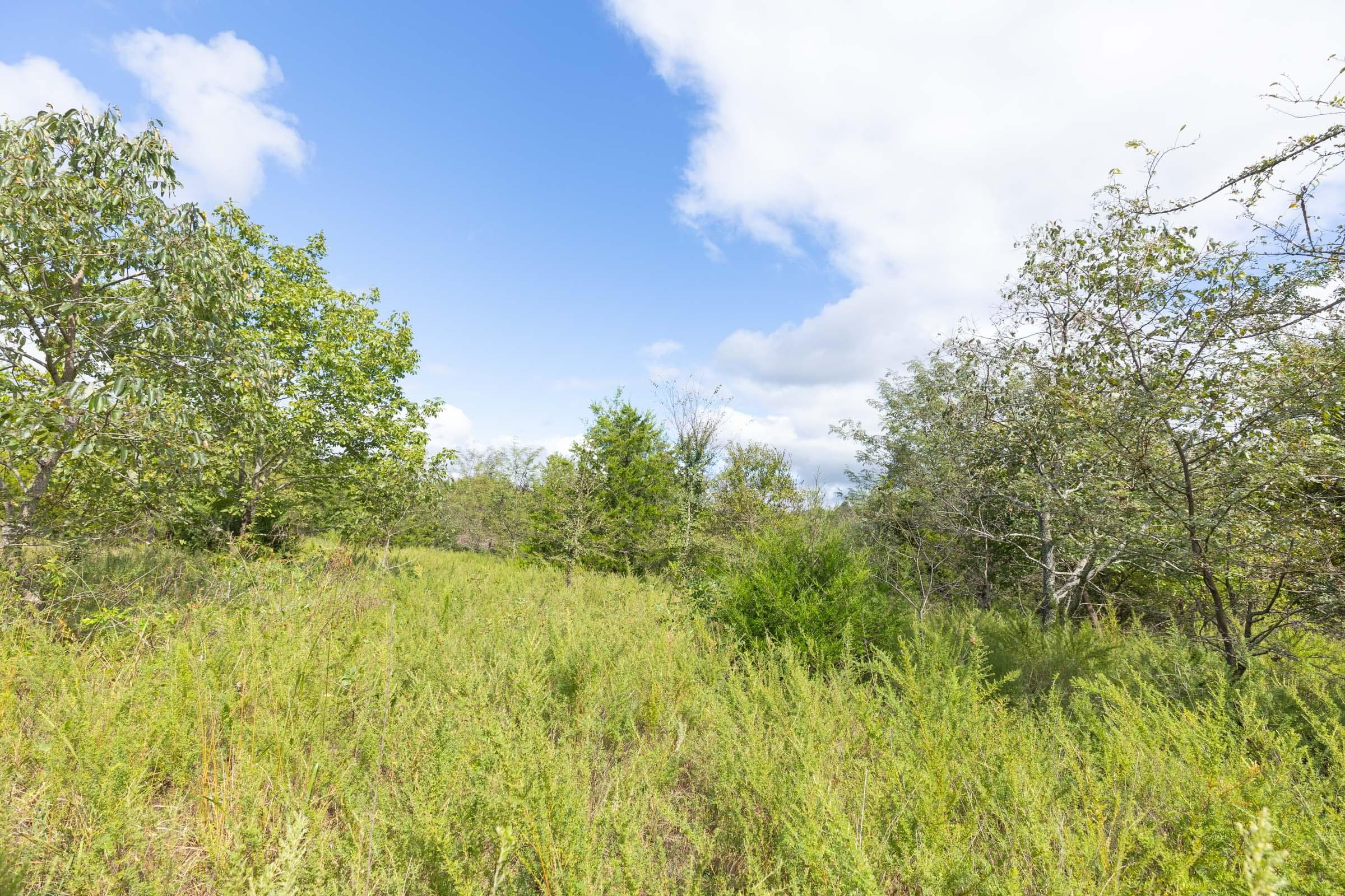  Reserves At Cattail Cove Phase II — Zero Credit Land owner financed land for sale in Pittsburg County, Oklahoma photo 171