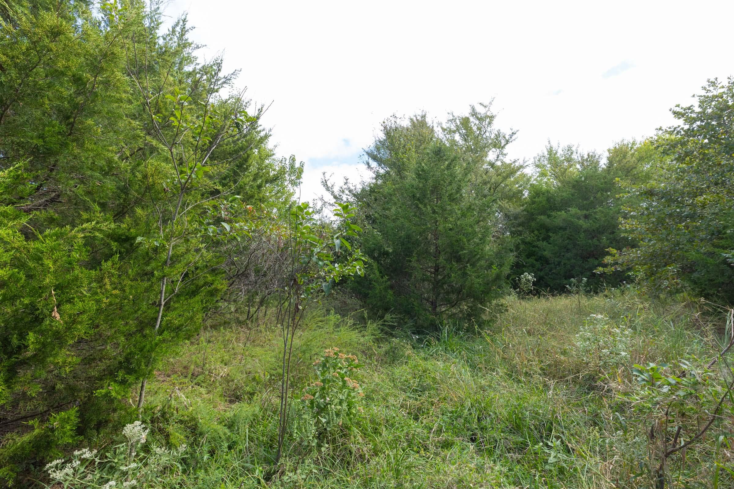  Reserves At Cattail Cove Phase II — Zero Credit Land owner financed land for sale in Pittsburg County, Oklahoma photo 173