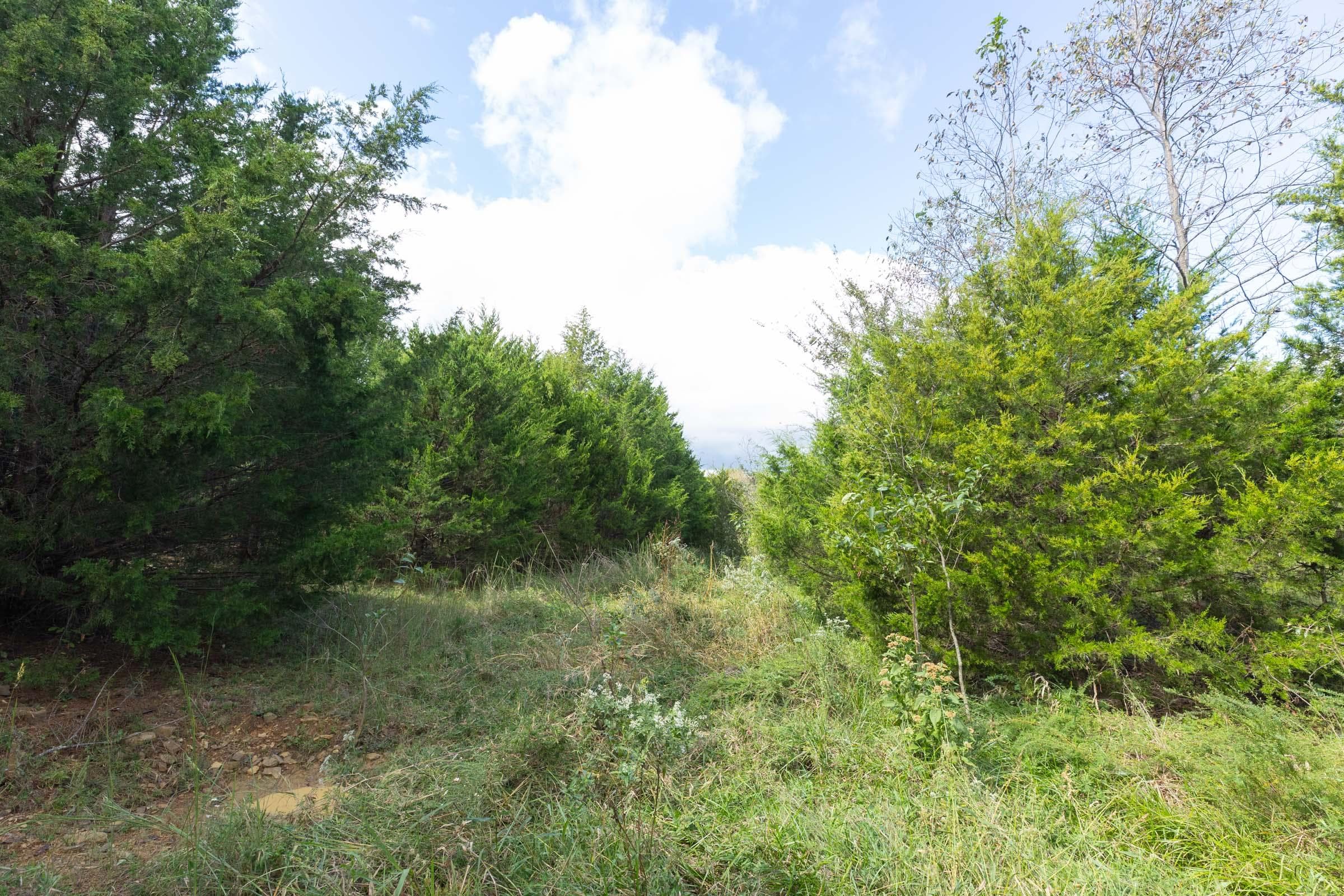  Reserves At Cattail Cove Phase II — Zero Credit Land owner financed land for sale in Pittsburg County, Oklahoma photo 174