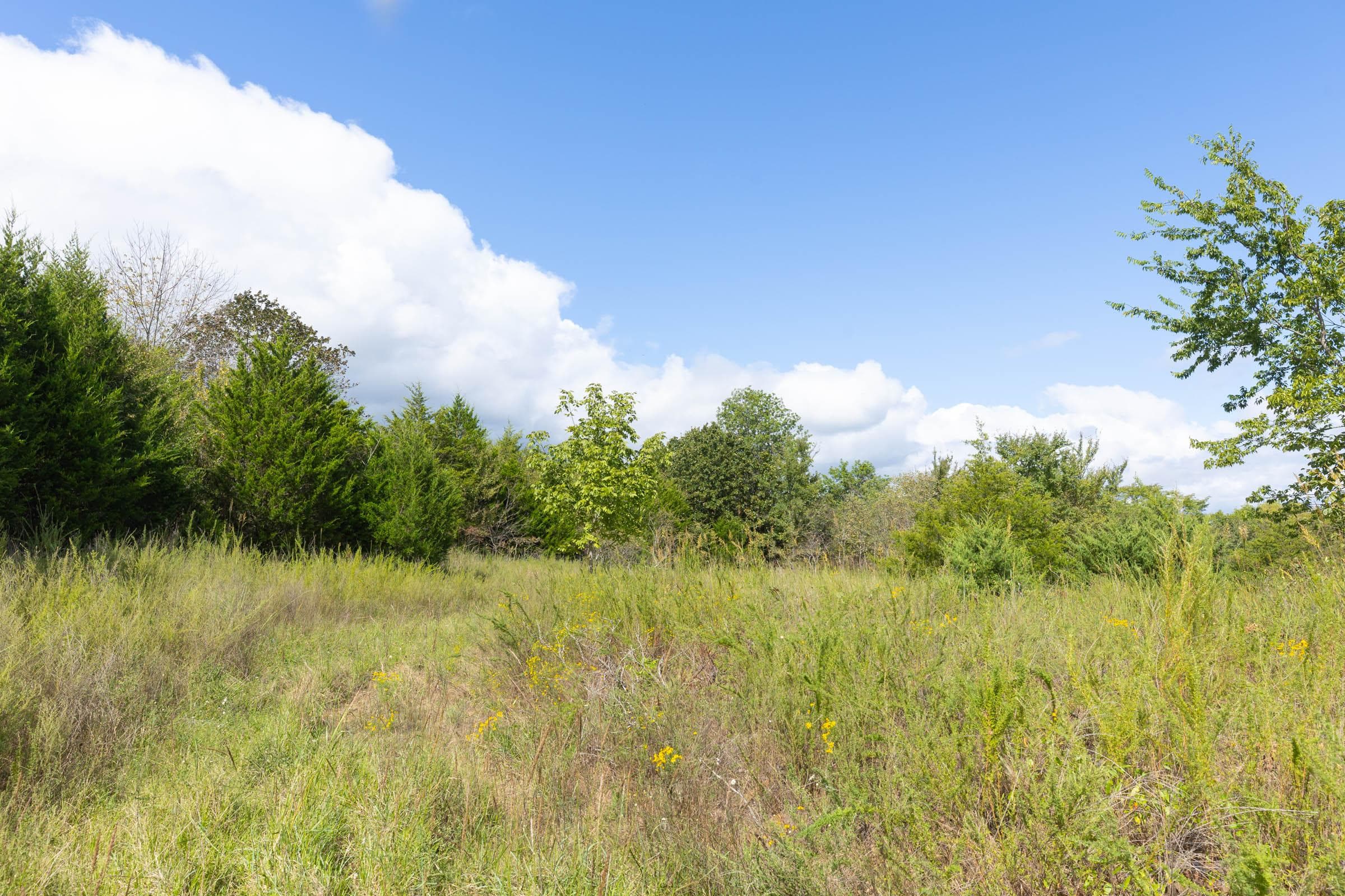  Reserves At Cattail Cove Phase II — Zero Credit Land owner financed land for sale in Pittsburg County, Oklahoma photo 172