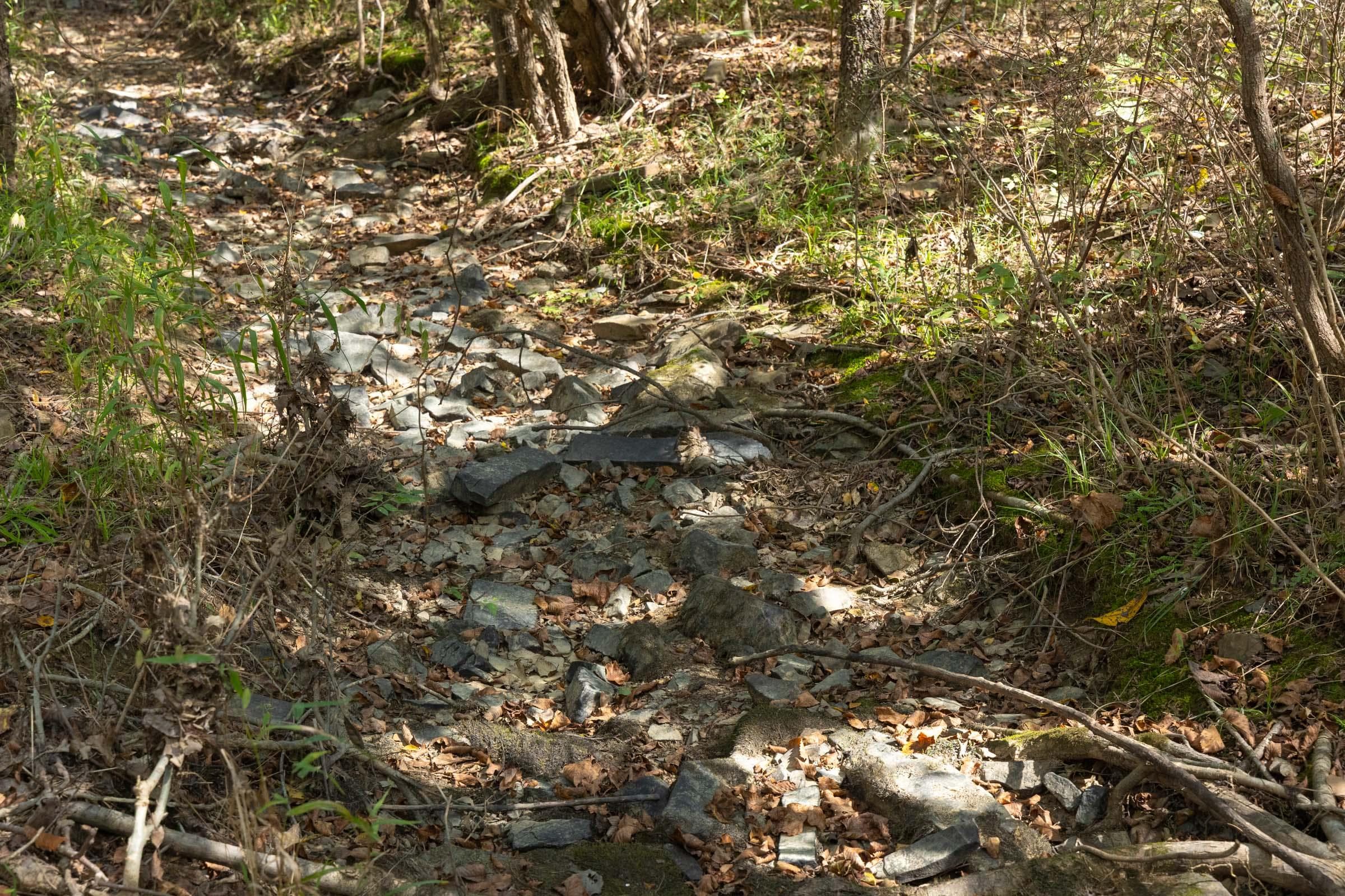  Reserves At Cattail Cove Phase II — Zero Credit Land owner financed land for sale in Pittsburg County, Oklahoma photo 49