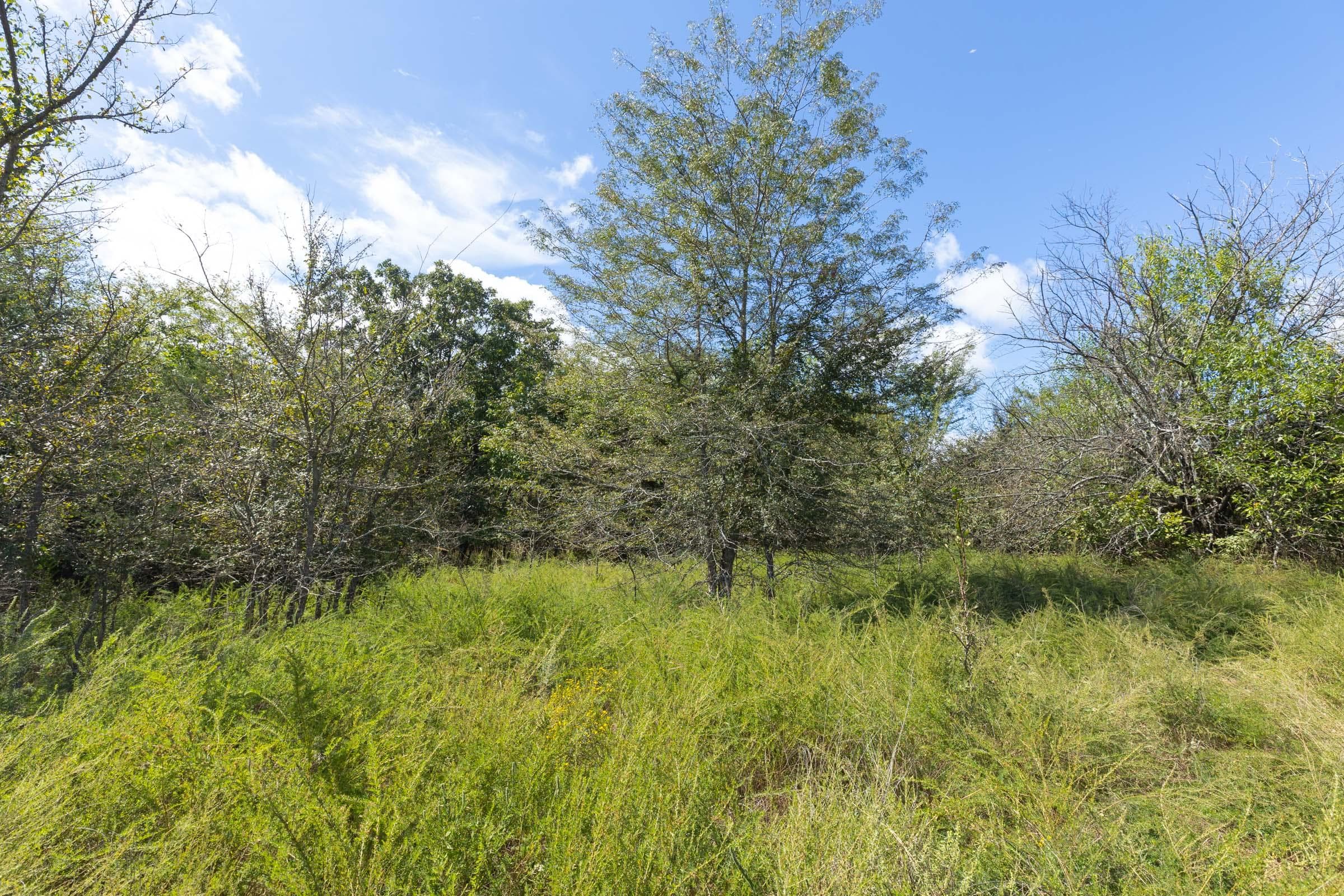  Reserves At Cattail Cove Phase II — Zero Credit Land owner financed land for sale in Pittsburg County, Oklahoma photo 110
