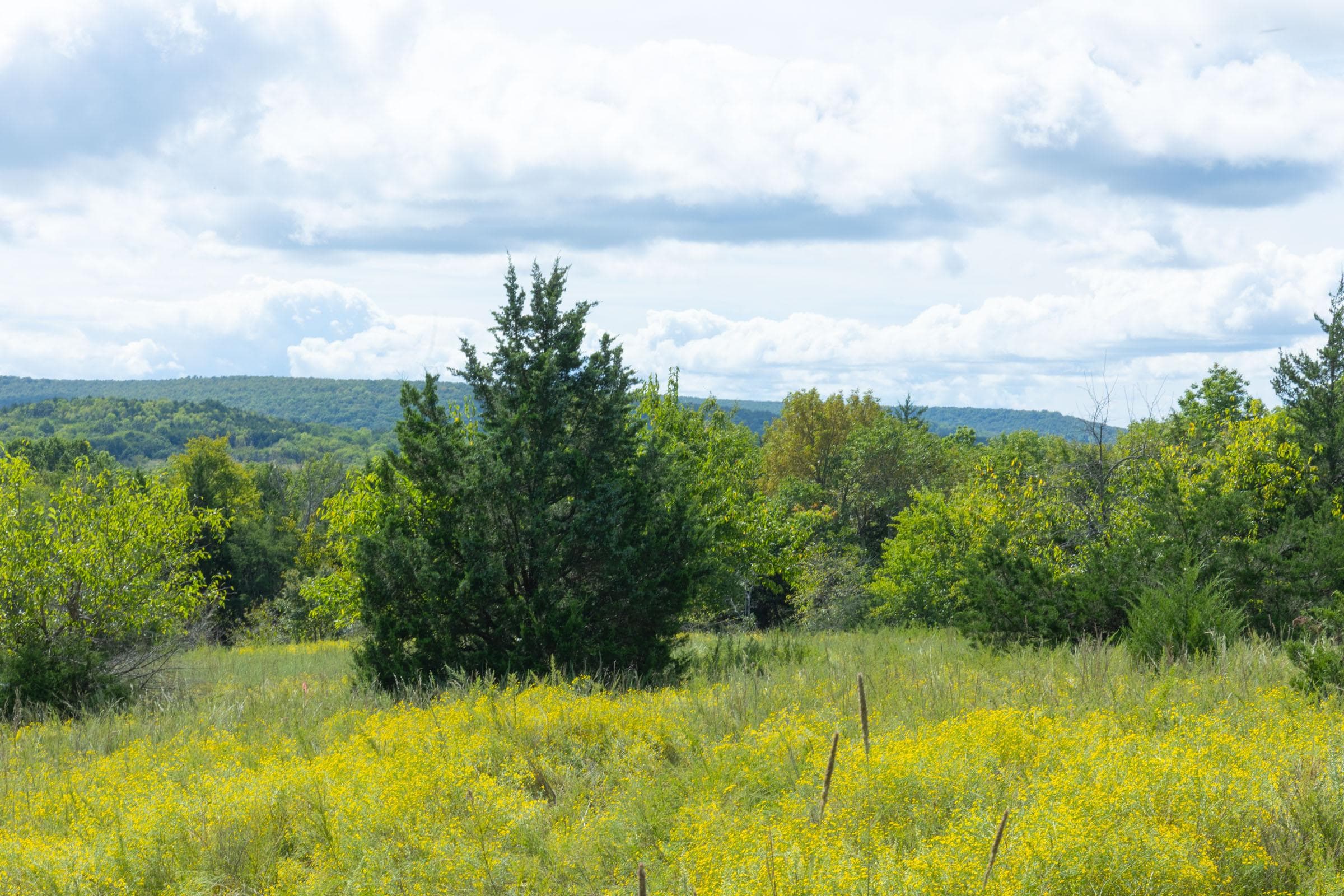  Reserves At Cattail Cove Phase II — Zero Credit Land owner financed land for sale in Pittsburg County, Oklahoma photo 5