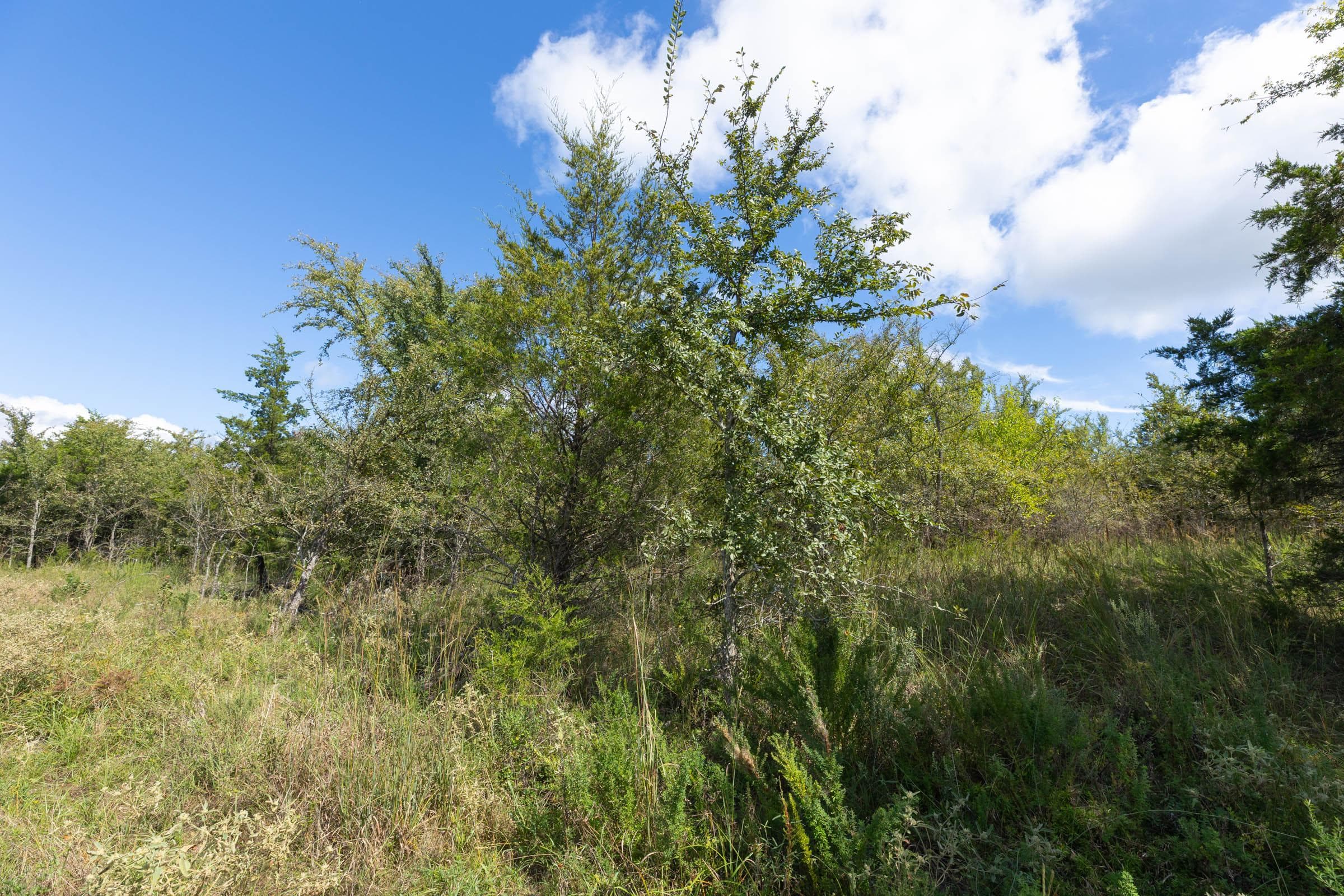  Reserves At Cattail Cove Phase II — Zero Credit Land owner financed land for sale in Pittsburg County, Oklahoma photo 198