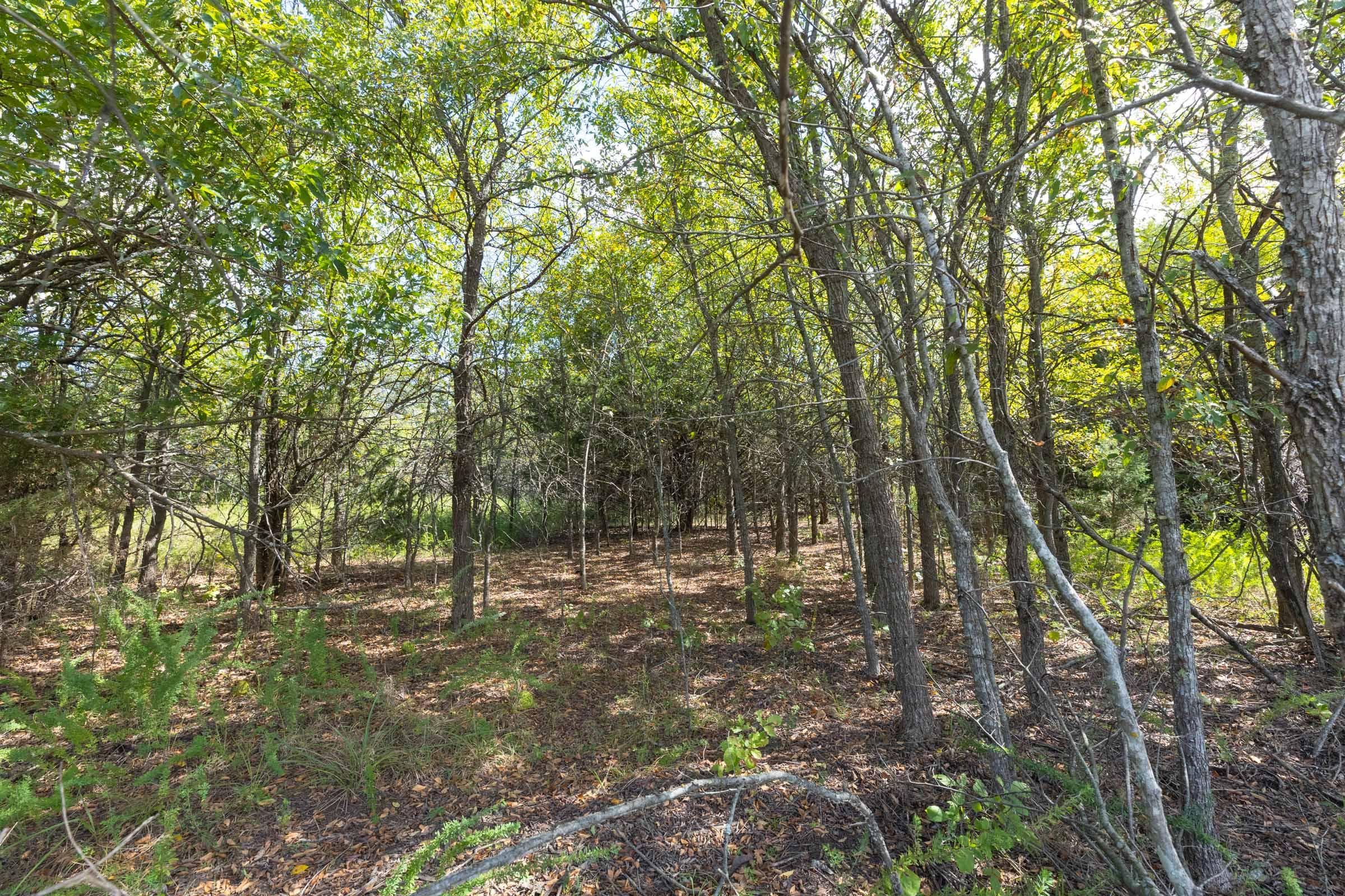  Reserves At Cattail Cove Phase II — Zero Credit Land owner financed land for sale in Pittsburg County, Oklahoma photo 202