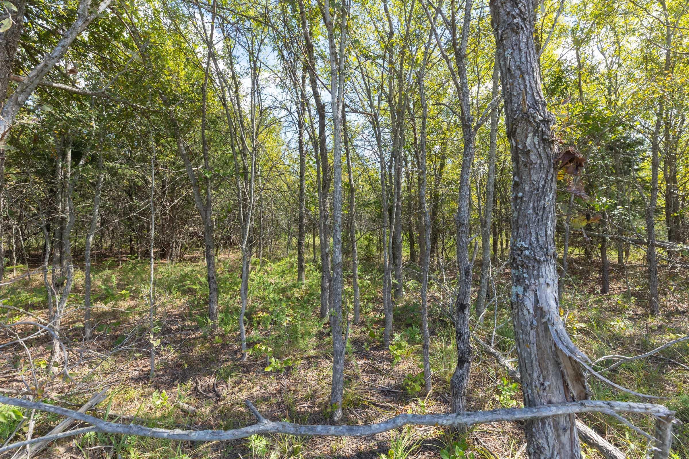  Reserves At Cattail Cove Phase II — Zero Credit Land owner financed land for sale in Pittsburg County, Oklahoma photo 196