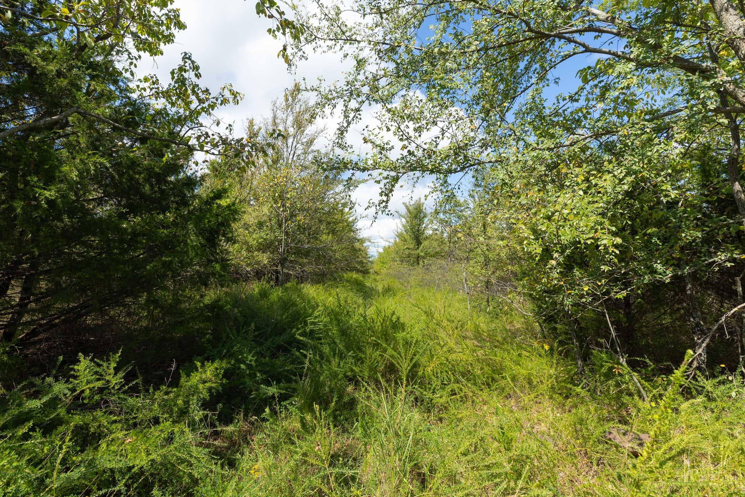  Reserves At Cattail Cove Phase II — Zero Credit Land owner financed land for sale in Pittsburg County, Oklahoma photo 237