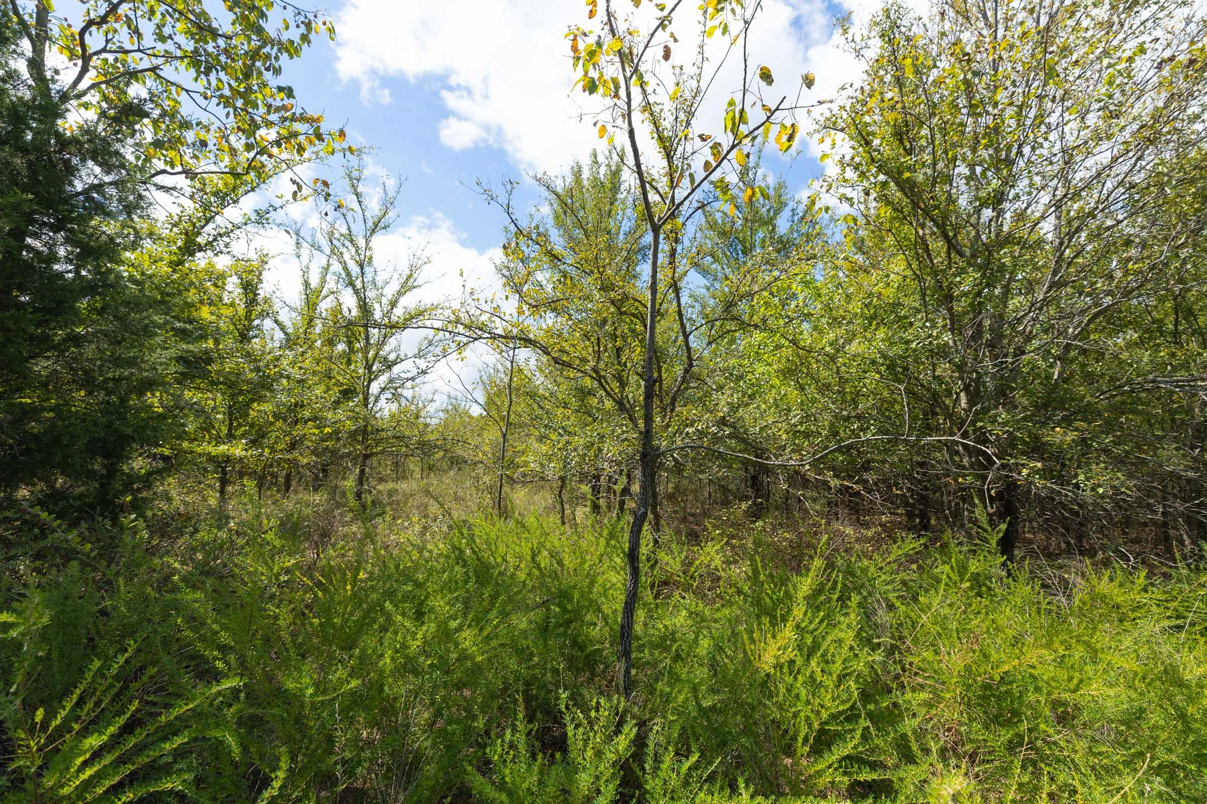  Reserves At Cattail Cove Phase II — Zero Credit Land owner financed land for sale in Pittsburg County, Oklahoma photo 236