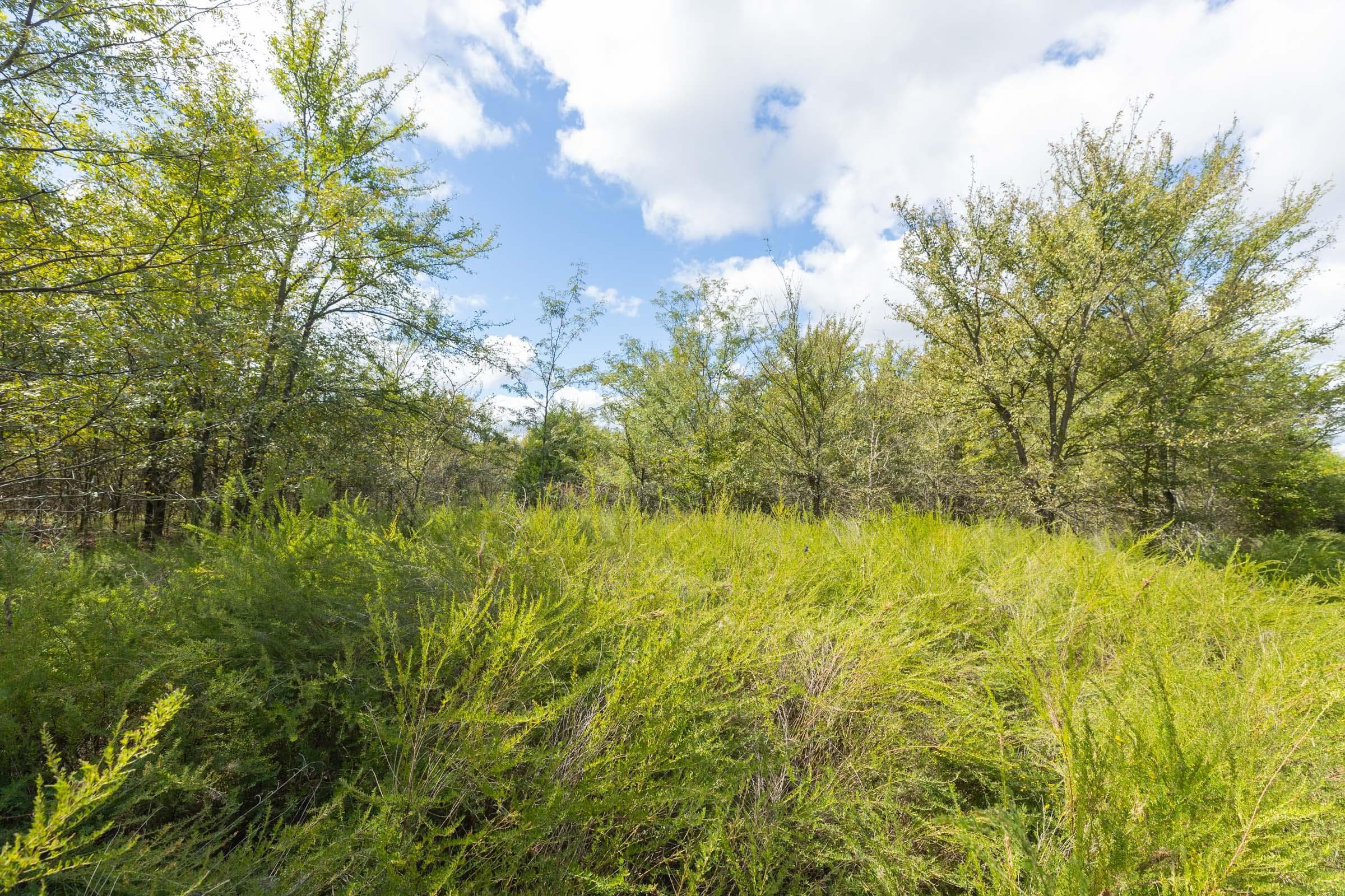  Reserves At Cattail Cove Phase II — Zero Credit Land owner financed land for sale in Pittsburg County, Oklahoma photo 235