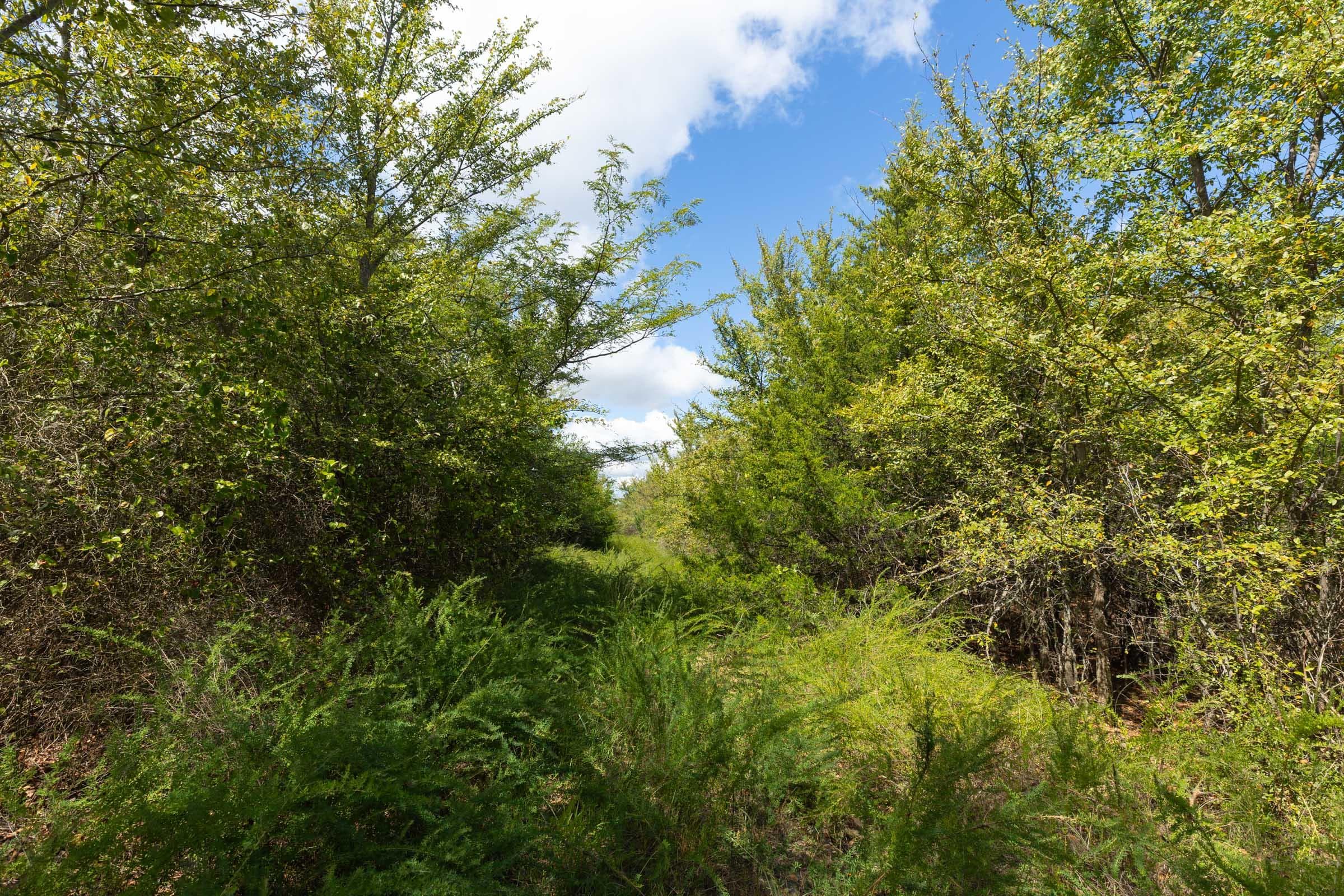  Reserves At Cattail Cove Phase II — Zero Credit Land owner financed land for sale in Pittsburg County, Oklahoma photo 227
