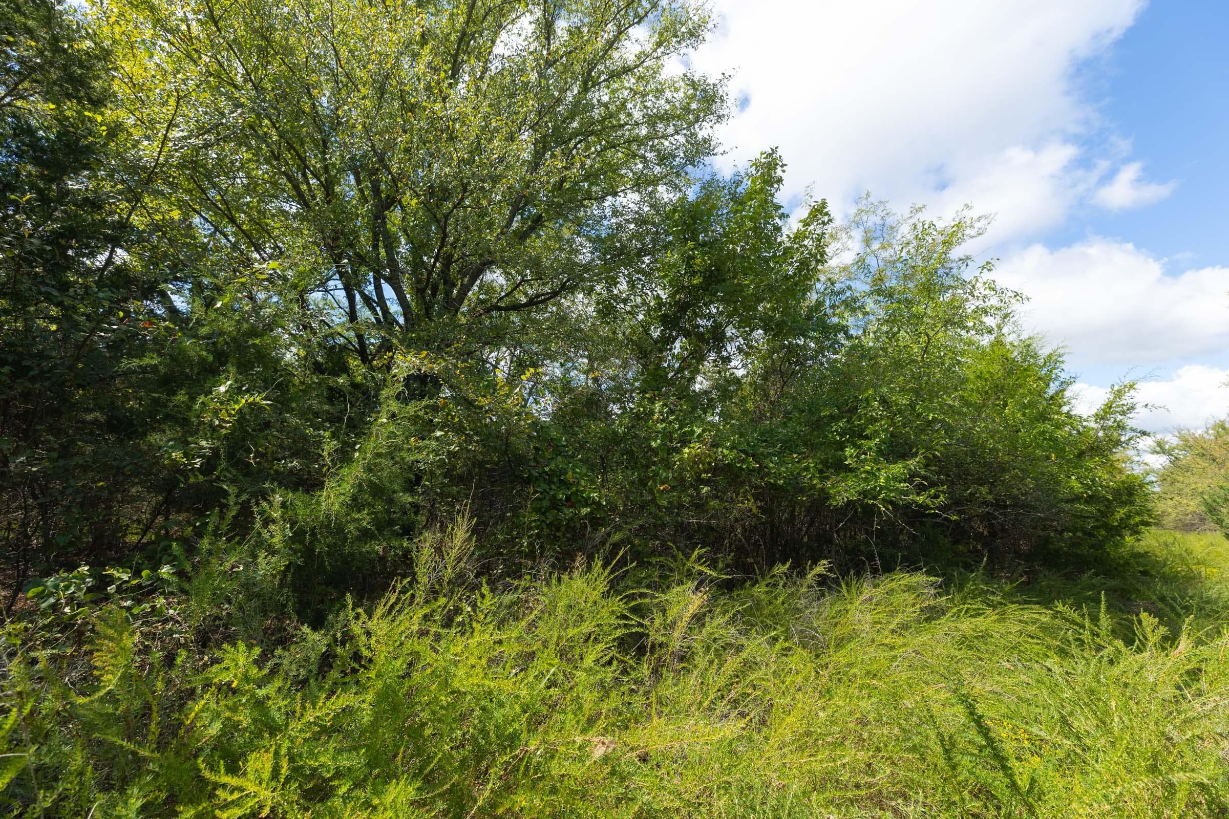  Reserves At Cattail Cove Phase II — Zero Credit Land owner financed land for sale in Pittsburg County, Oklahoma photo 228