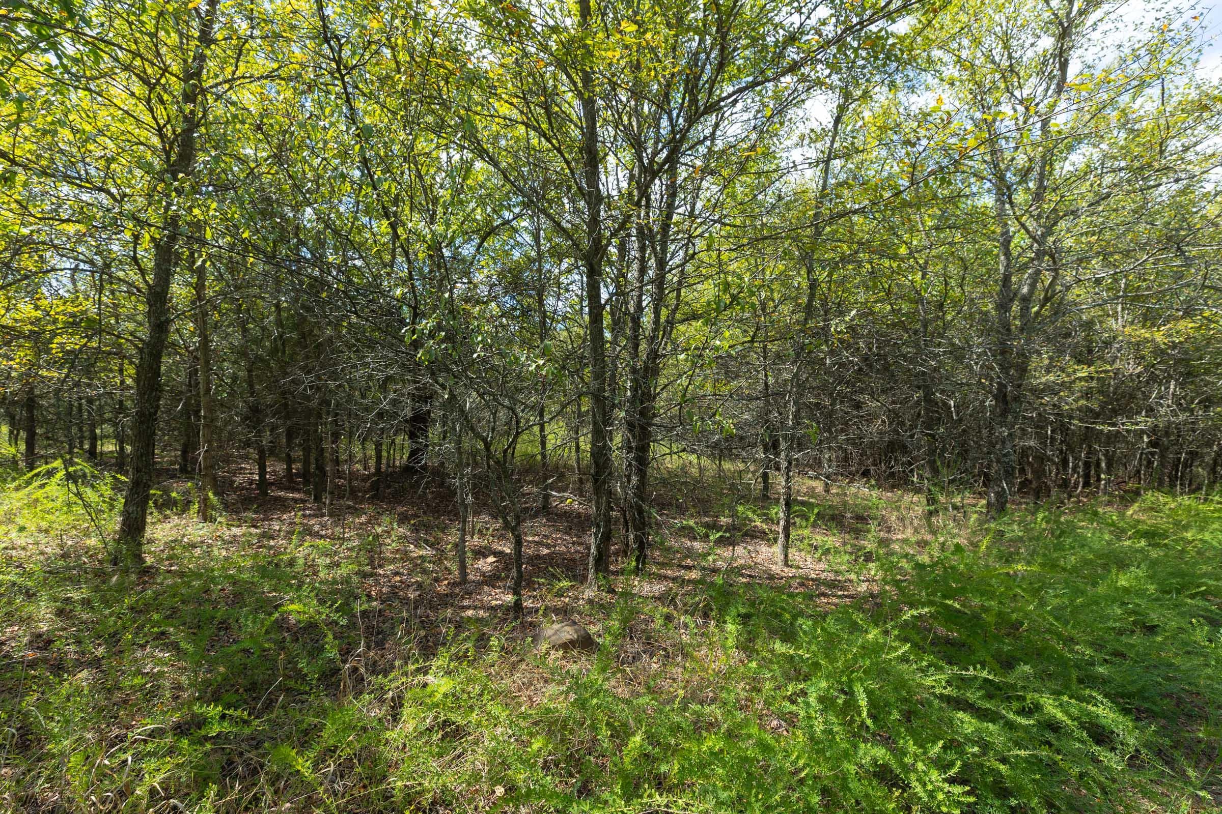  Reserves At Cattail Cove Phase II — Zero Credit Land owner financed land for sale in Pittsburg County, Oklahoma photo 229