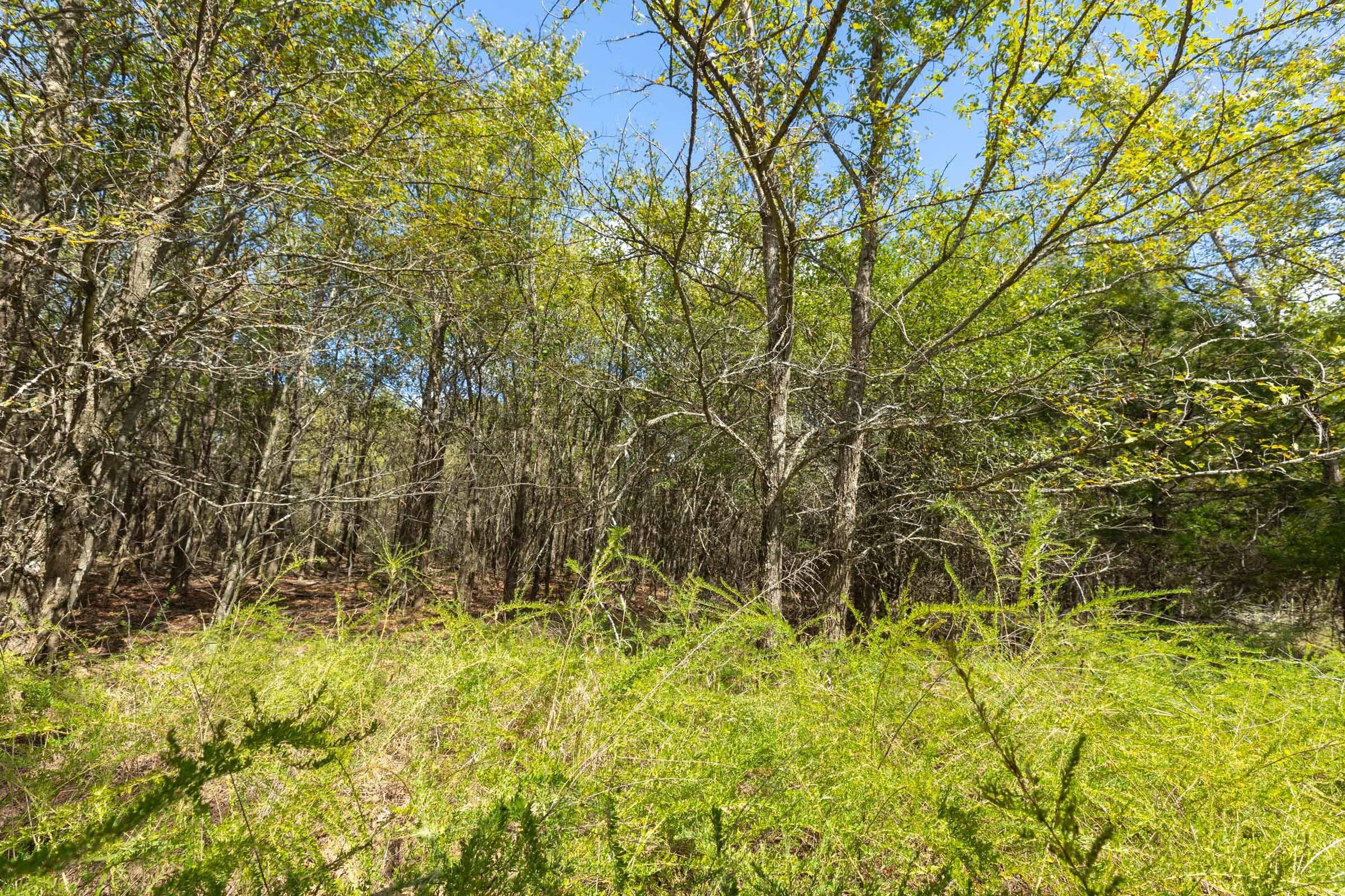  Reserves At Cattail Cove Phase II — Zero Credit Land owner financed land for sale in Pittsburg County, Oklahoma photo 230