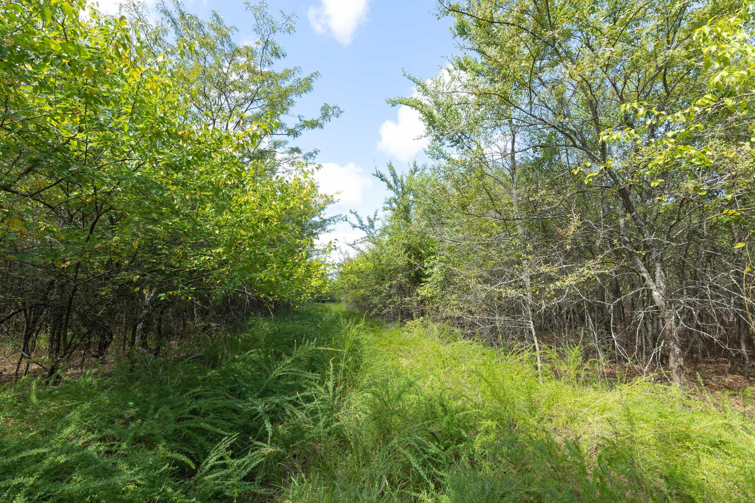  Reserves At Cattail Cove Phase II — Zero Credit Land owner financed land for sale in Pittsburg County, Oklahoma photo 221