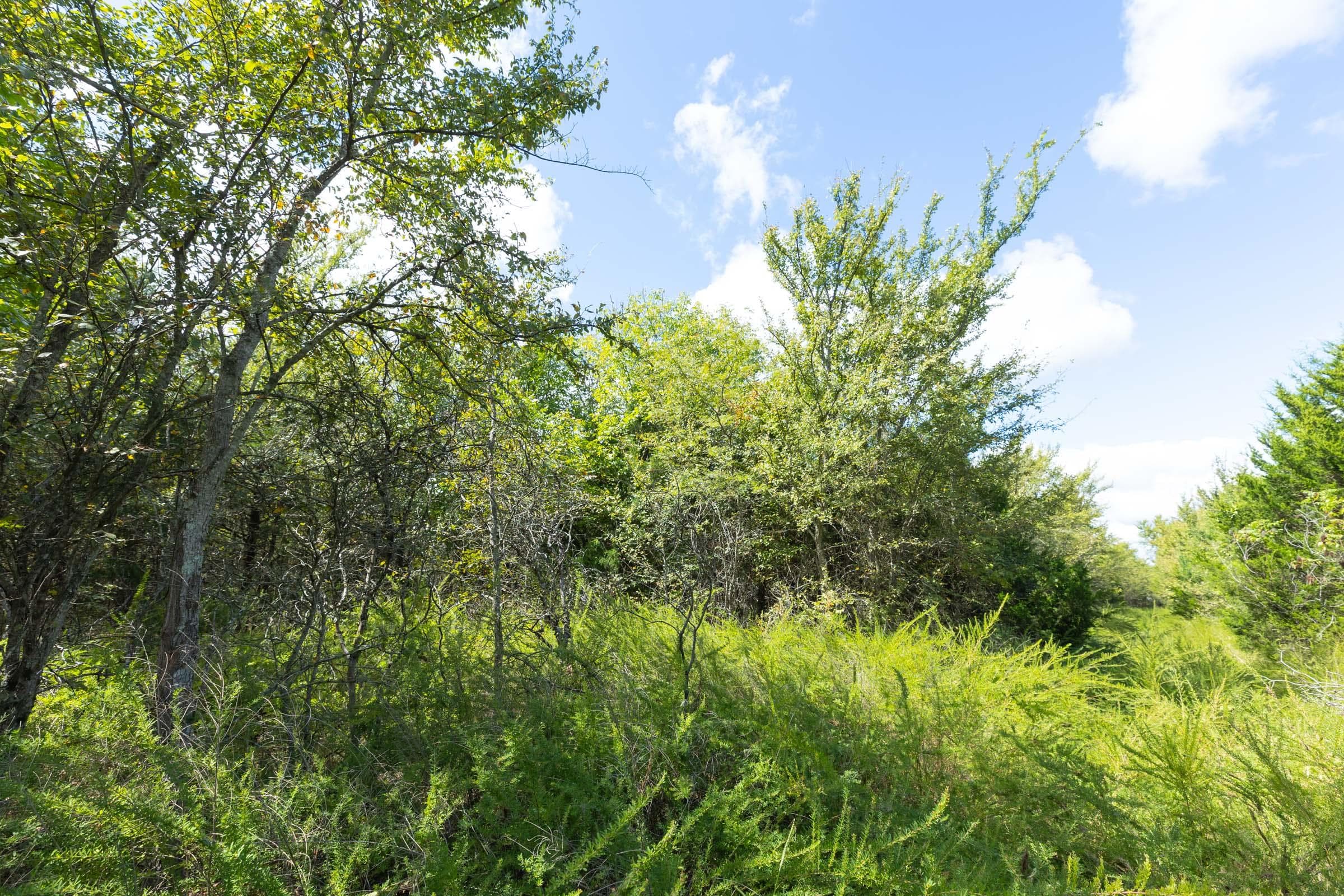  Reserves At Cattail Cove Phase II — Zero Credit Land owner financed land for sale in Pittsburg County, Oklahoma photo 224