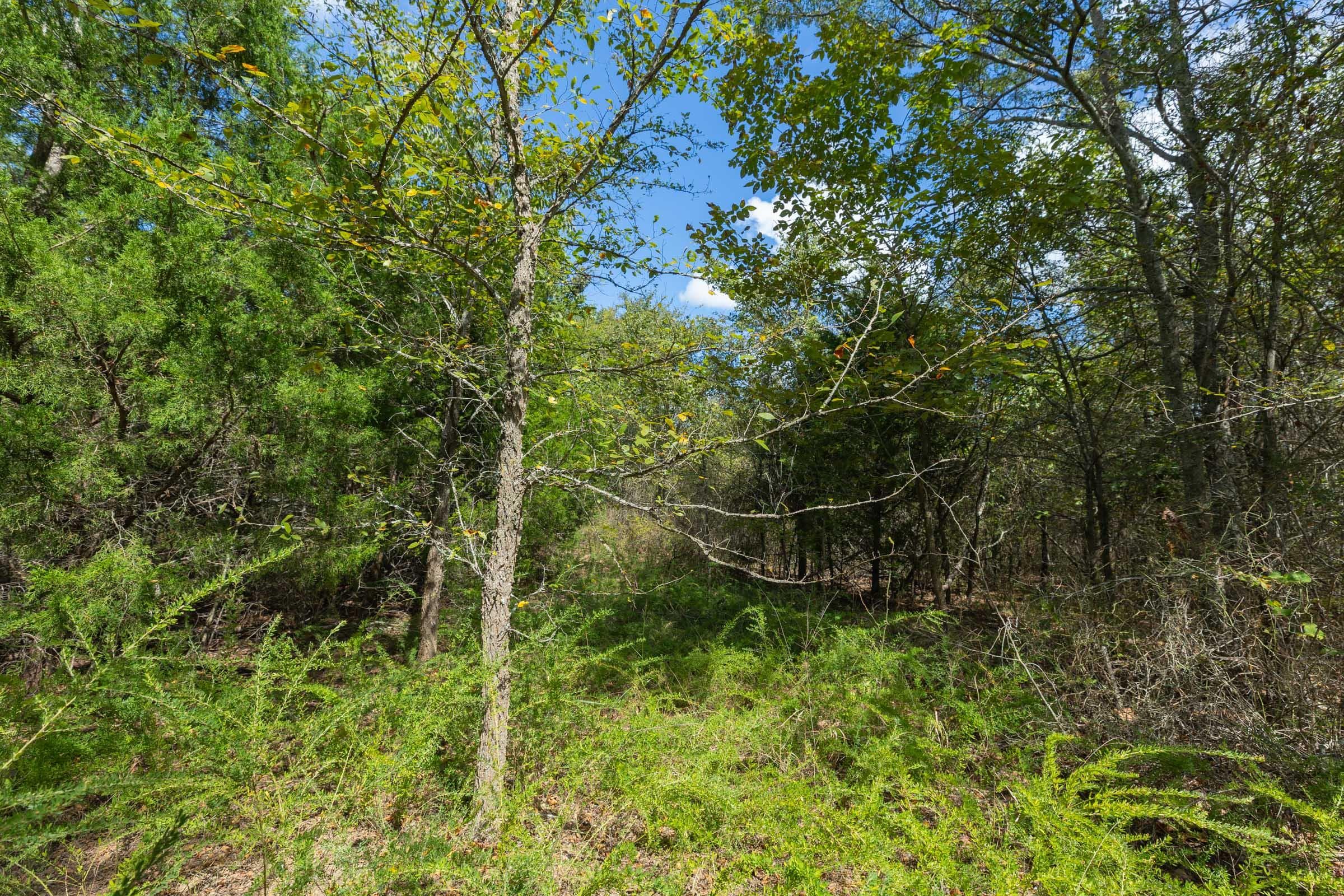 Reserves At Cattail Cove Phase II — Zero Credit Land owner financed land for sale in Pittsburg County, Oklahoma photo 226