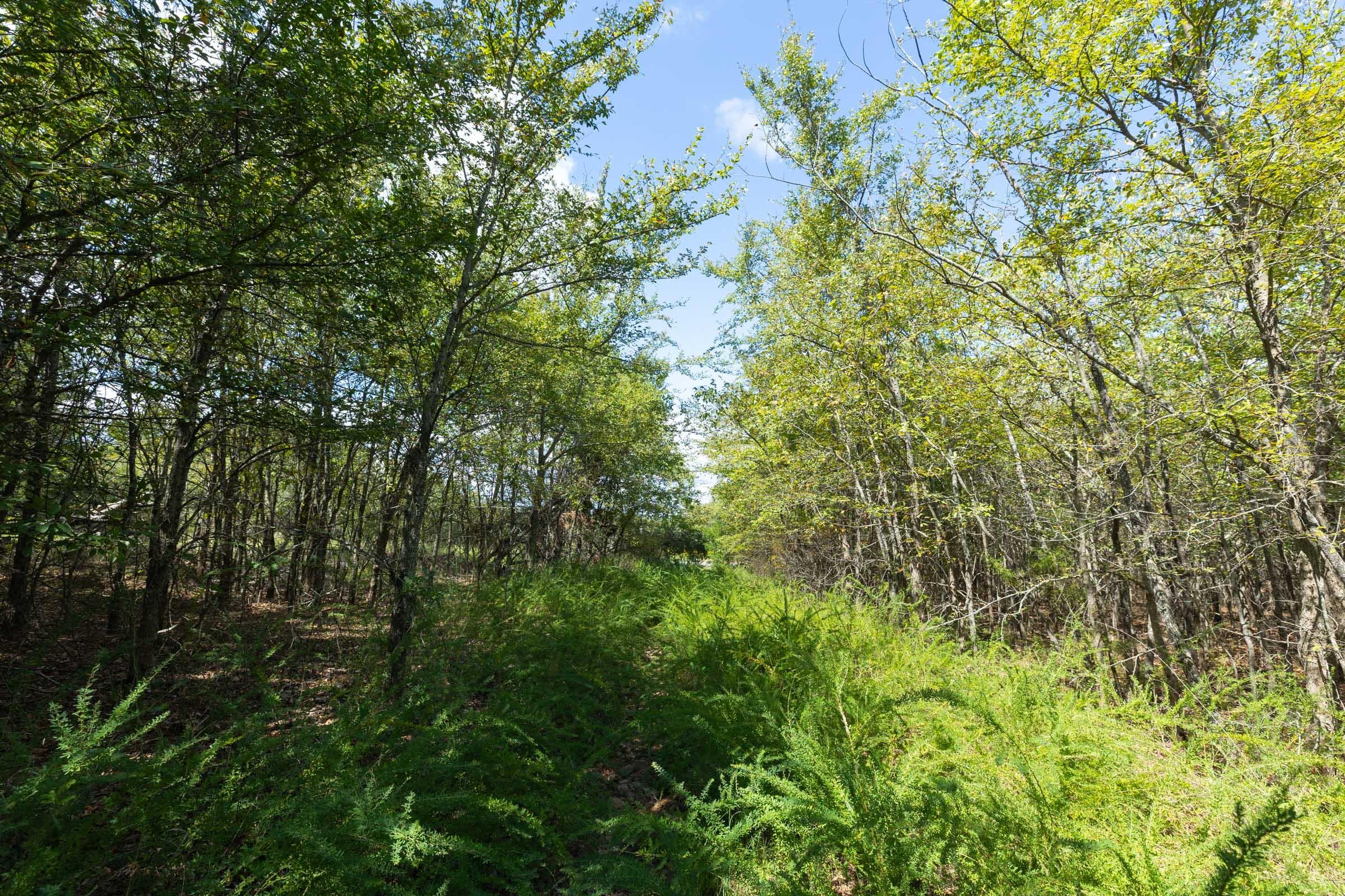  Reserves At Cattail Cove Phase II — Zero Credit Land owner financed land for sale in Pittsburg County, Oklahoma photo 225