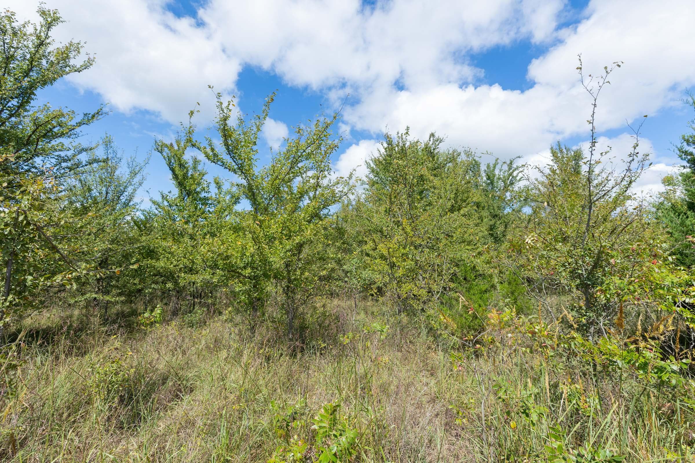  Reserves At Cattail Cove Phase II — Zero Credit Land owner financed land for sale in Pittsburg County, Oklahoma photo 234