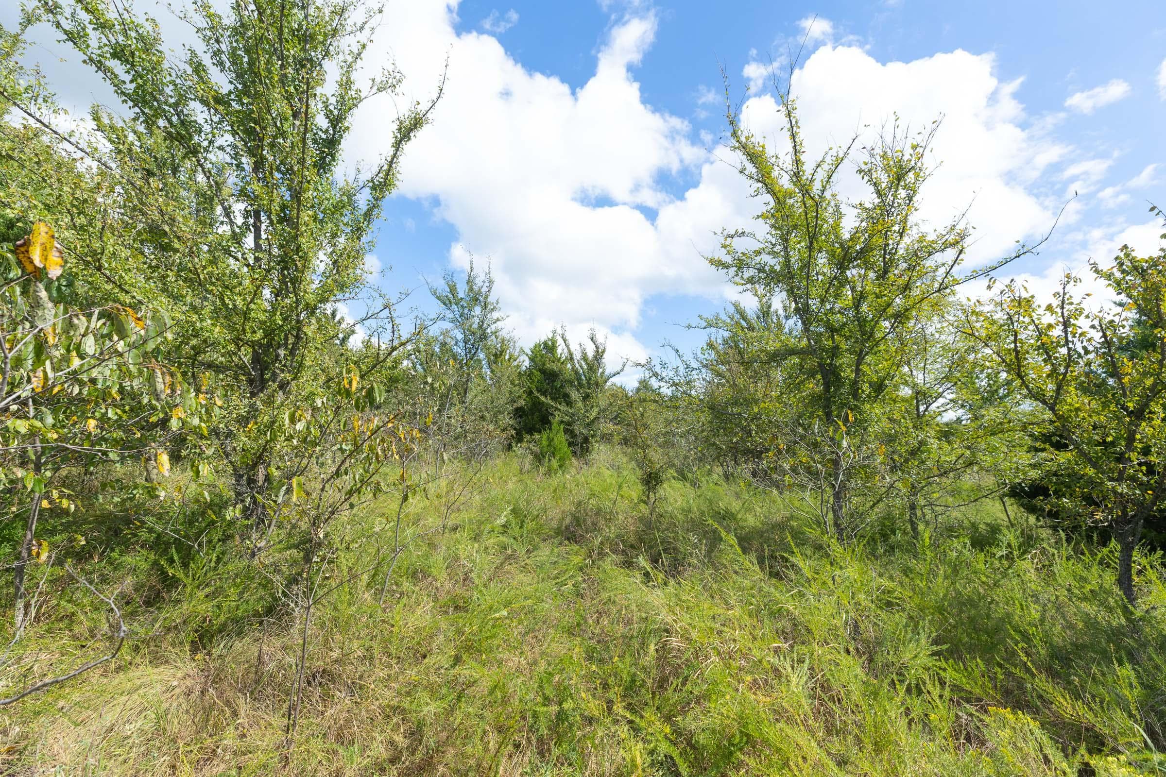 Reserves At Cattail Cove Phase II — Zero Credit Land owner financed land for sale in Pittsburg County, Oklahoma photo 243