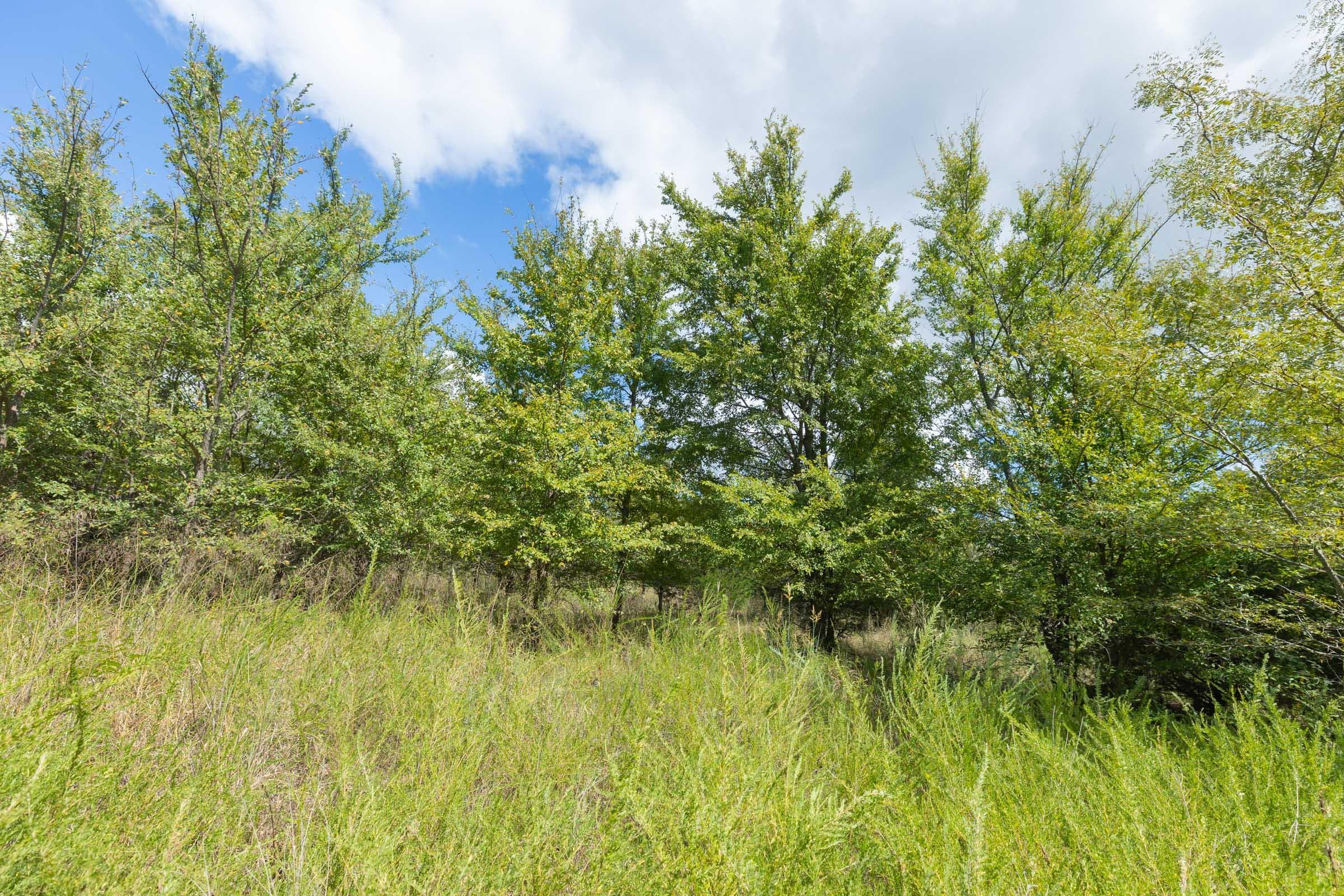  Reserves At Cattail Cove Phase II — Zero Credit Land owner financed land for sale in Pittsburg County, Oklahoma photo 245