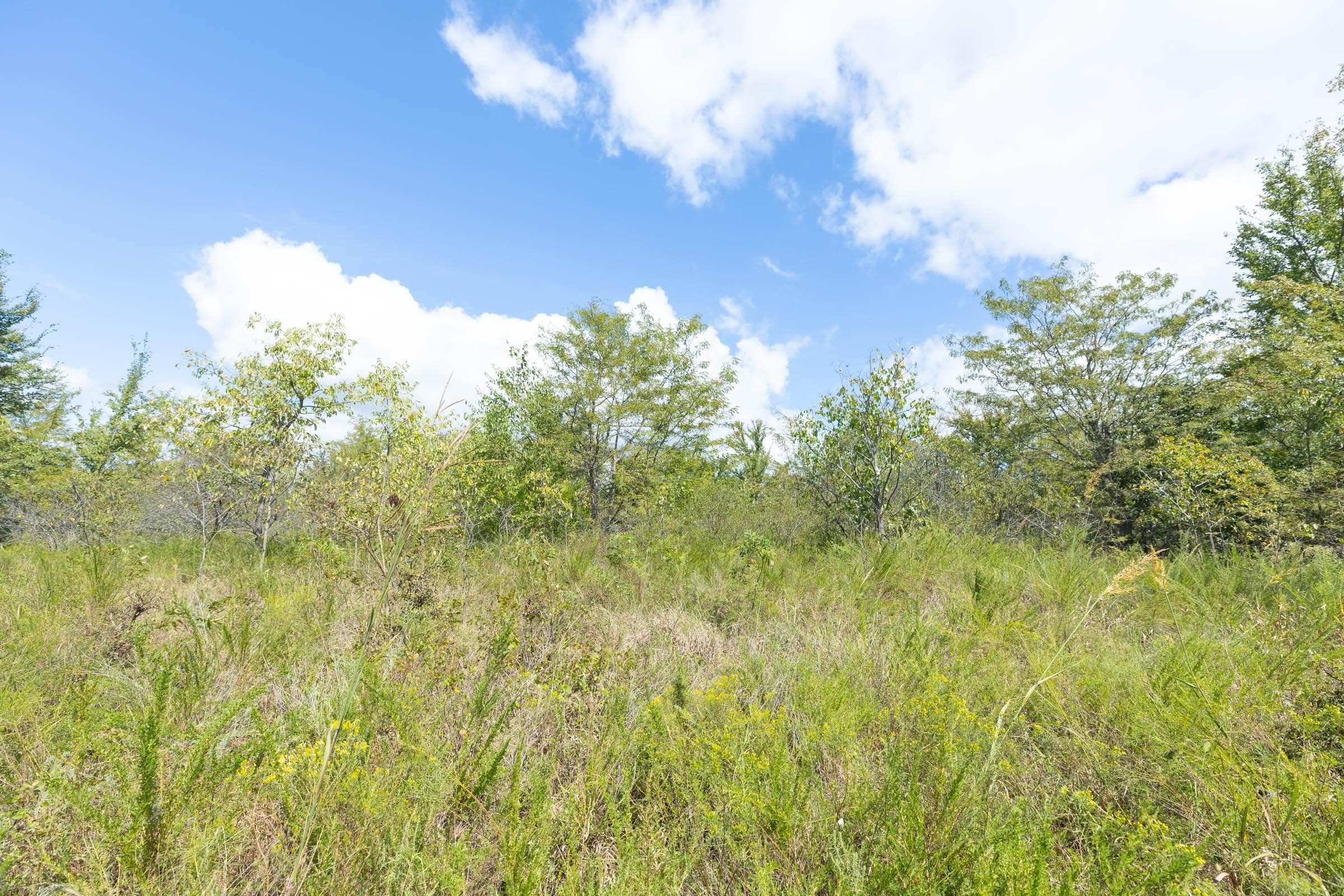  Reserves At Cattail Cove Phase II — Zero Credit Land owner financed land for sale in Pittsburg County, Oklahoma photo 257