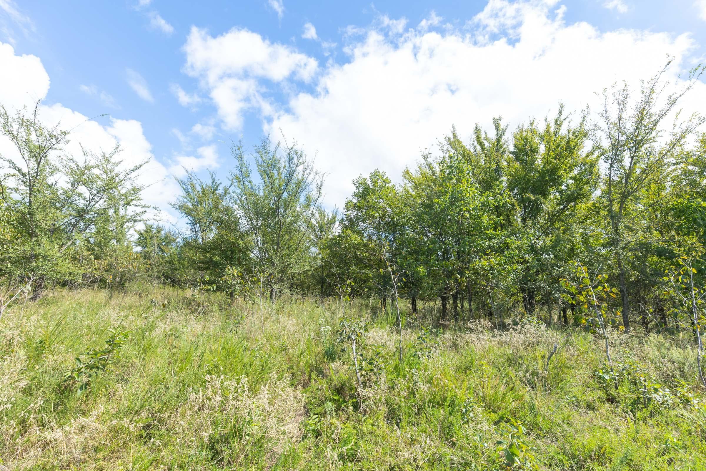  Reserves At Cattail Cove Phase II — Zero Credit Land owner financed land for sale in Pittsburg County, Oklahoma photo 262