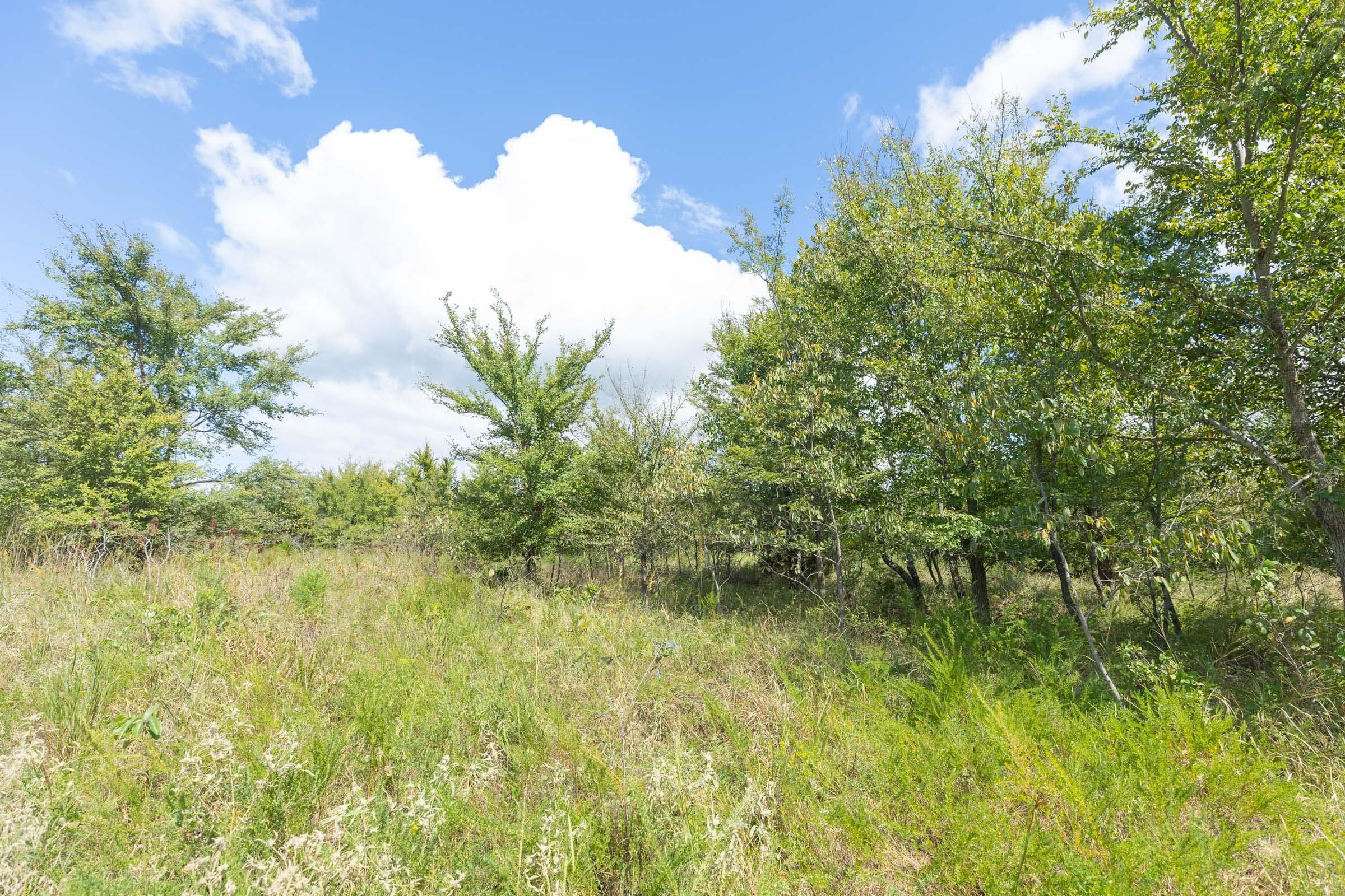  Reserves At Cattail Cove Phase II — Zero Credit Land owner financed land for sale in Pittsburg County, Oklahoma photo 260