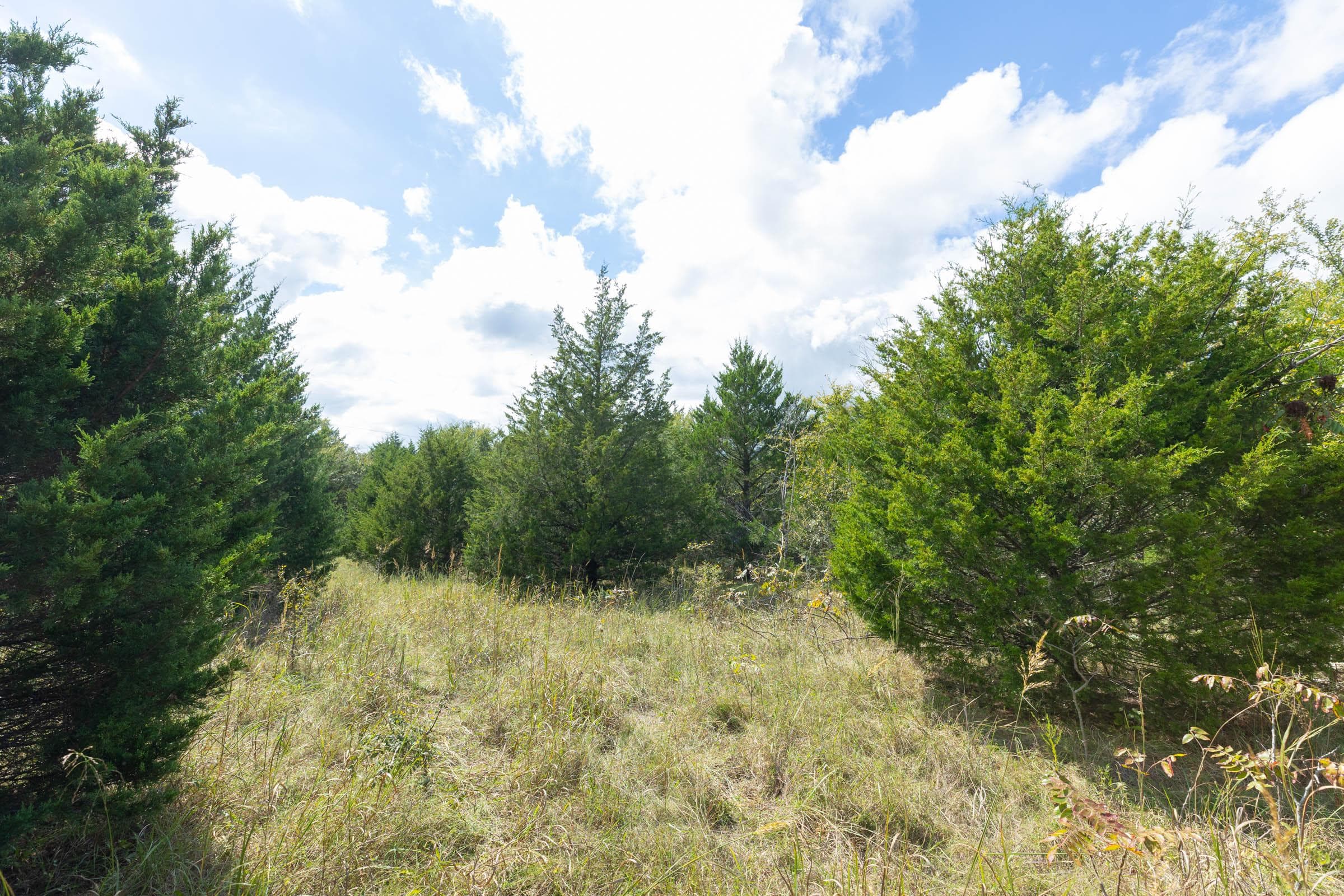  Reserves At Cattail Cove Phase II — Zero Credit Land owner financed land for sale in Pittsburg County, Oklahoma photo 254
