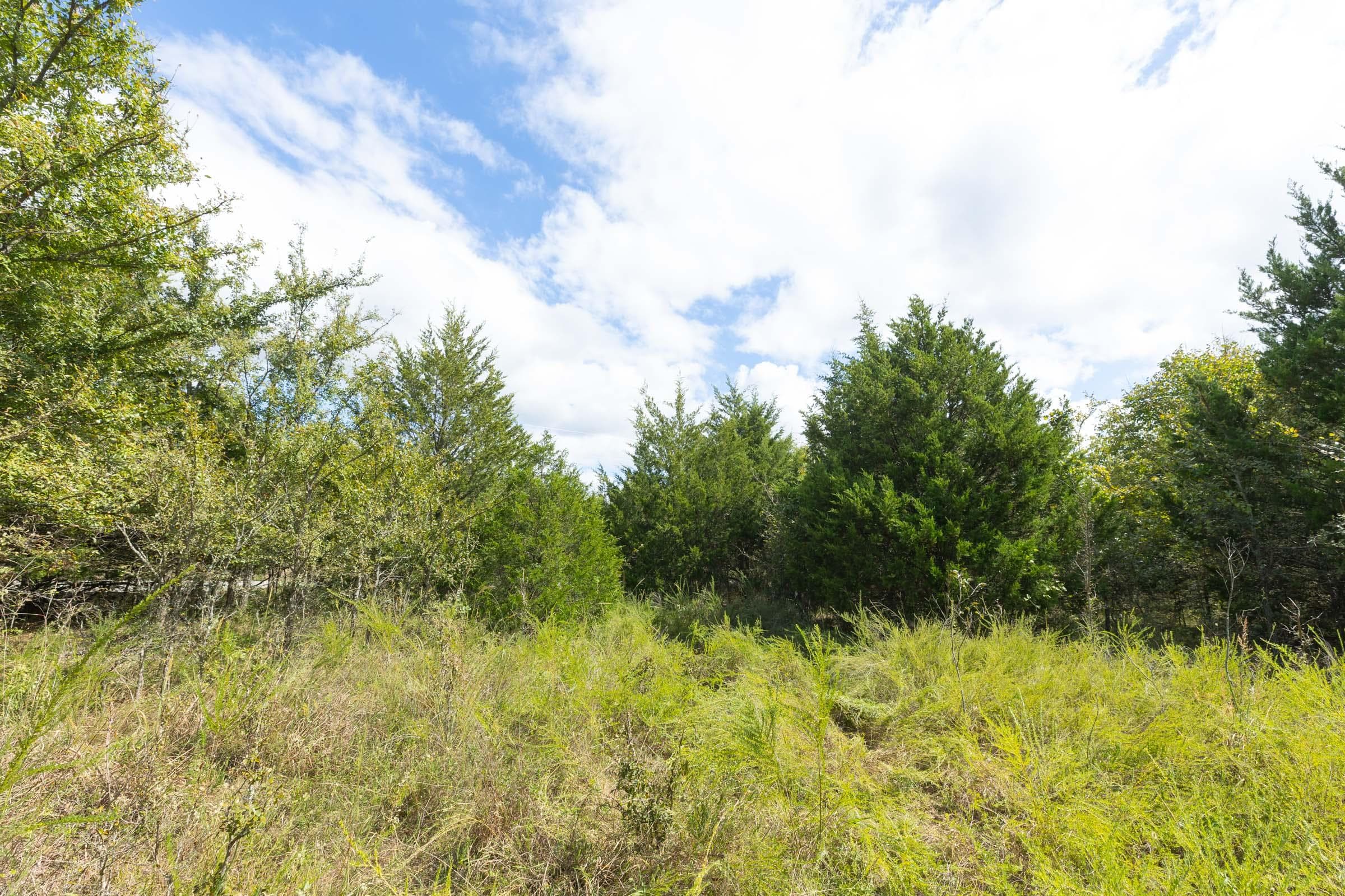  Reserves At Cattail Cove Phase II — Zero Credit Land owner financed land for sale in Pittsburg County, Oklahoma photo 156