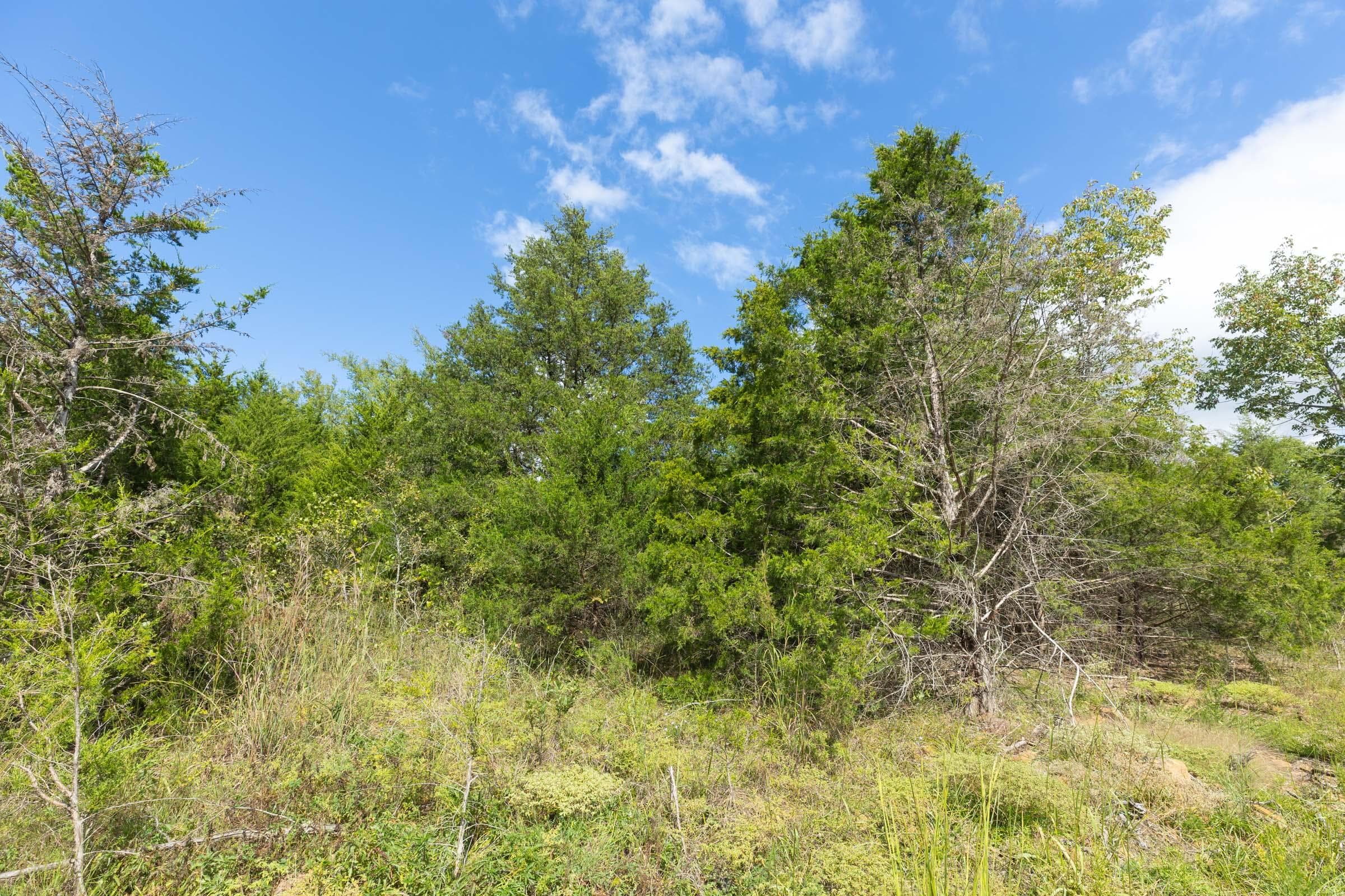  Reserves At Cattail Cove Phase II — Zero Credit Land owner financed land for sale in Pittsburg County, Oklahoma photo 154