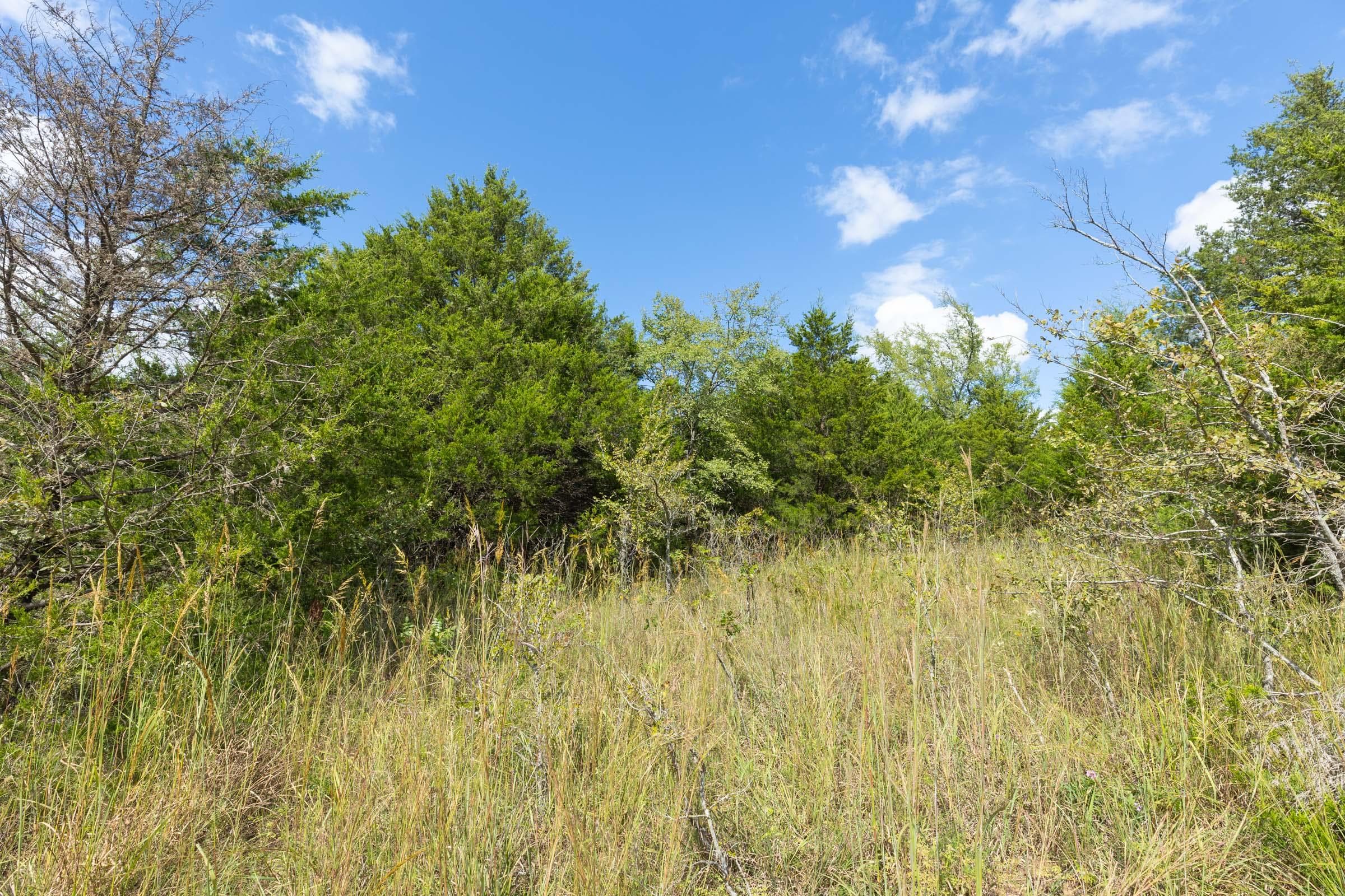  Reserves At Cattail Cove Phase II — Zero Credit Land owner financed land for sale in Pittsburg County, Oklahoma photo 153