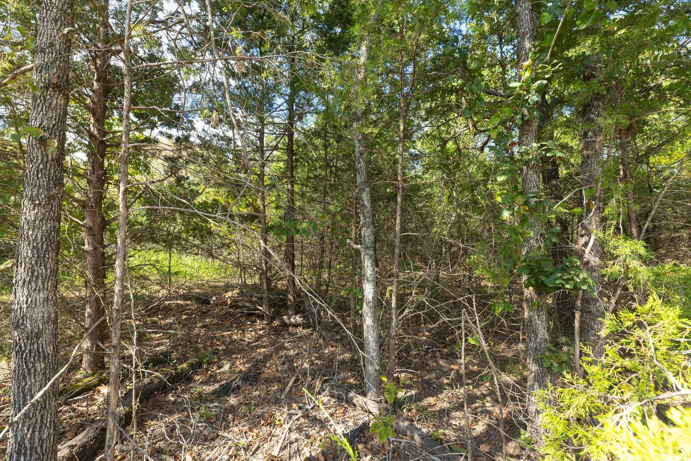  Reserves At Cattail Cove Phase II — Zero Credit Land owner financed land for sale in Pittsburg County, Oklahoma photo 155