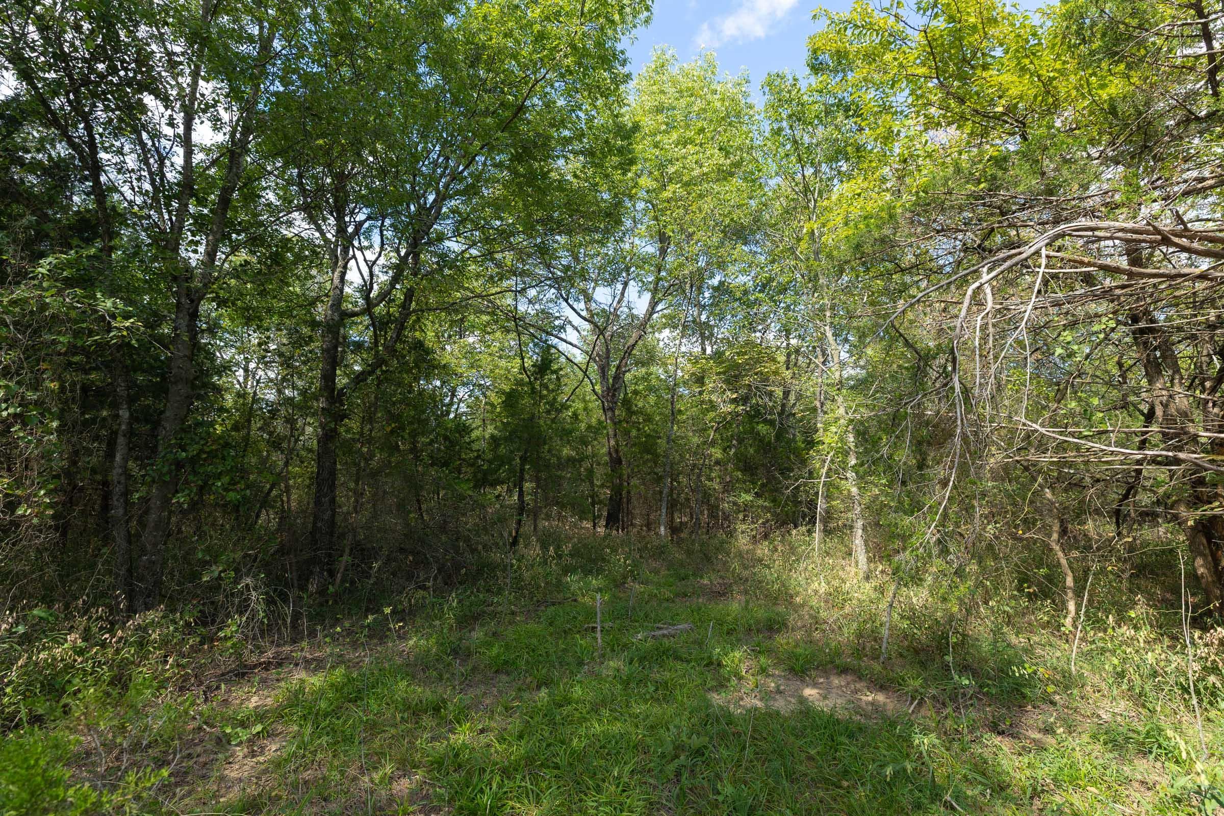  Reserves At Cattail Cove Phase II — Zero Credit Land owner financed land for sale in Pittsburg County, Oklahoma photo 136