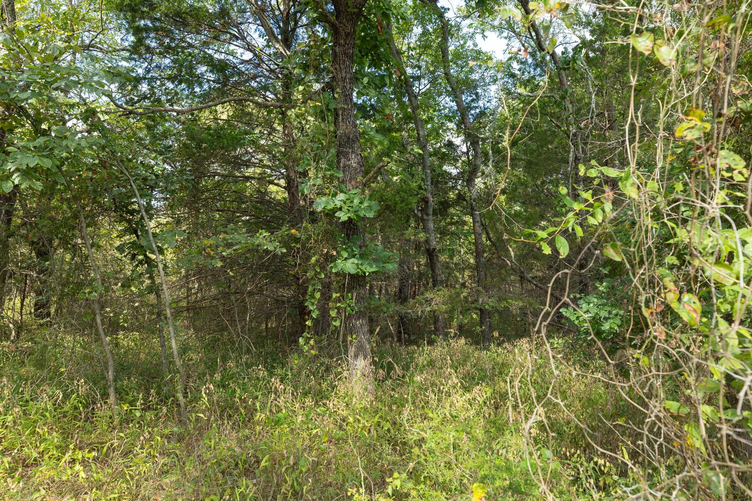  Reserves At Cattail Cove Phase II — Zero Credit Land owner financed land for sale in Pittsburg County, Oklahoma photo 135